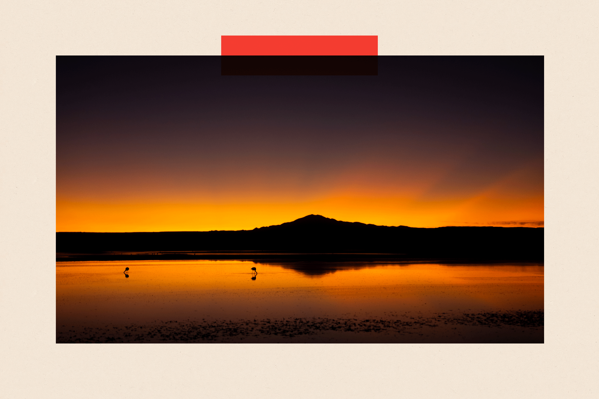 Wide panoramic scene at sunset showing two birds in the distance