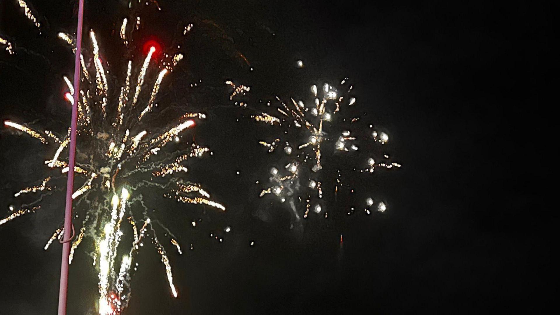 Gold, green and white fireworks lighting up the night sky.