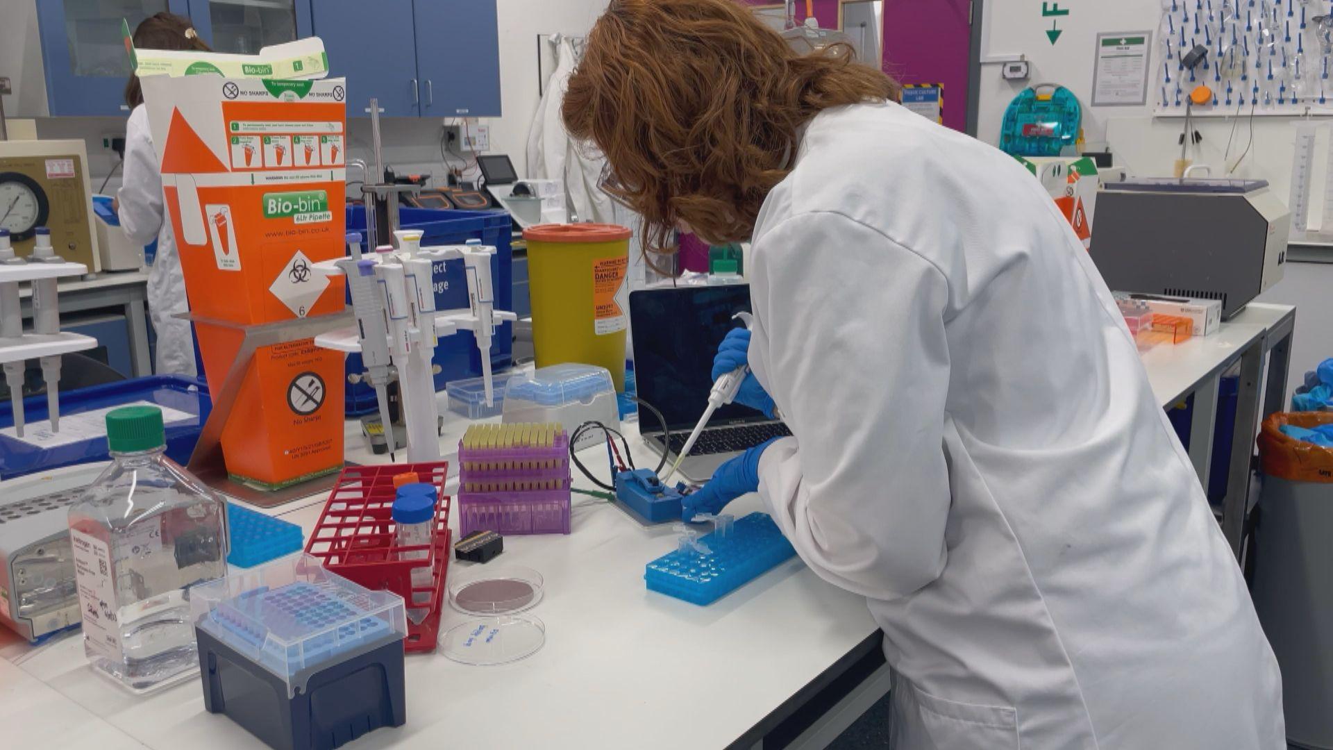 Sânziana in her research lab