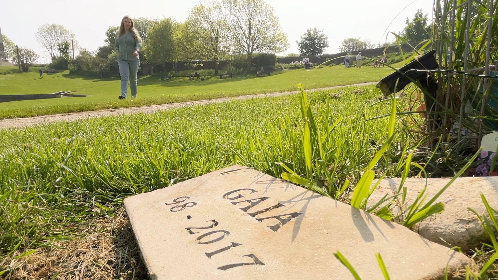 Ms Pope-Weidemann's walking towards a stone, in the foreground, engraved with Gaia's name