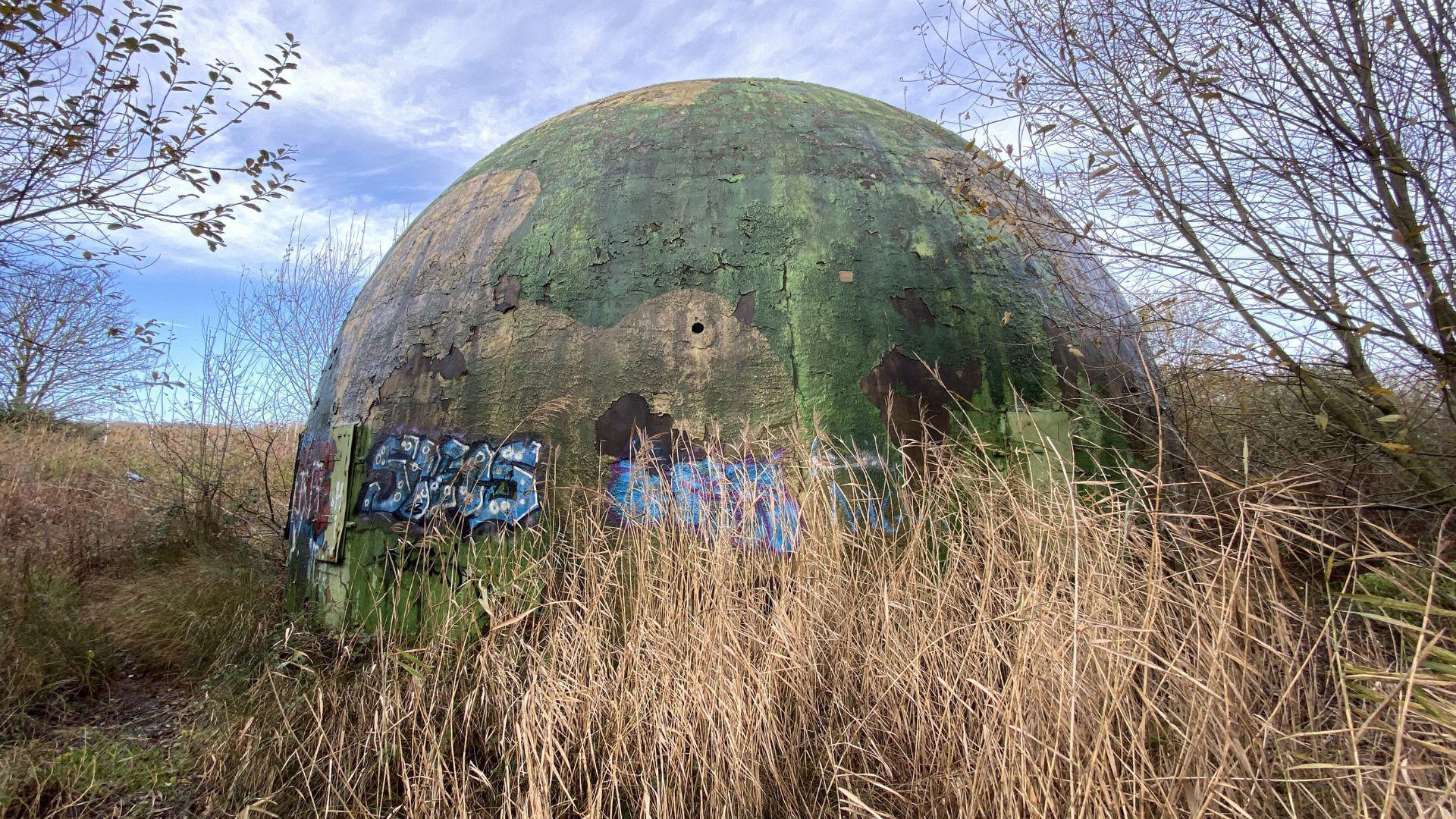 A large green gunnery training dome on grassland, surrounded by green trees and hedges. There are dried brown reeds in the foreground