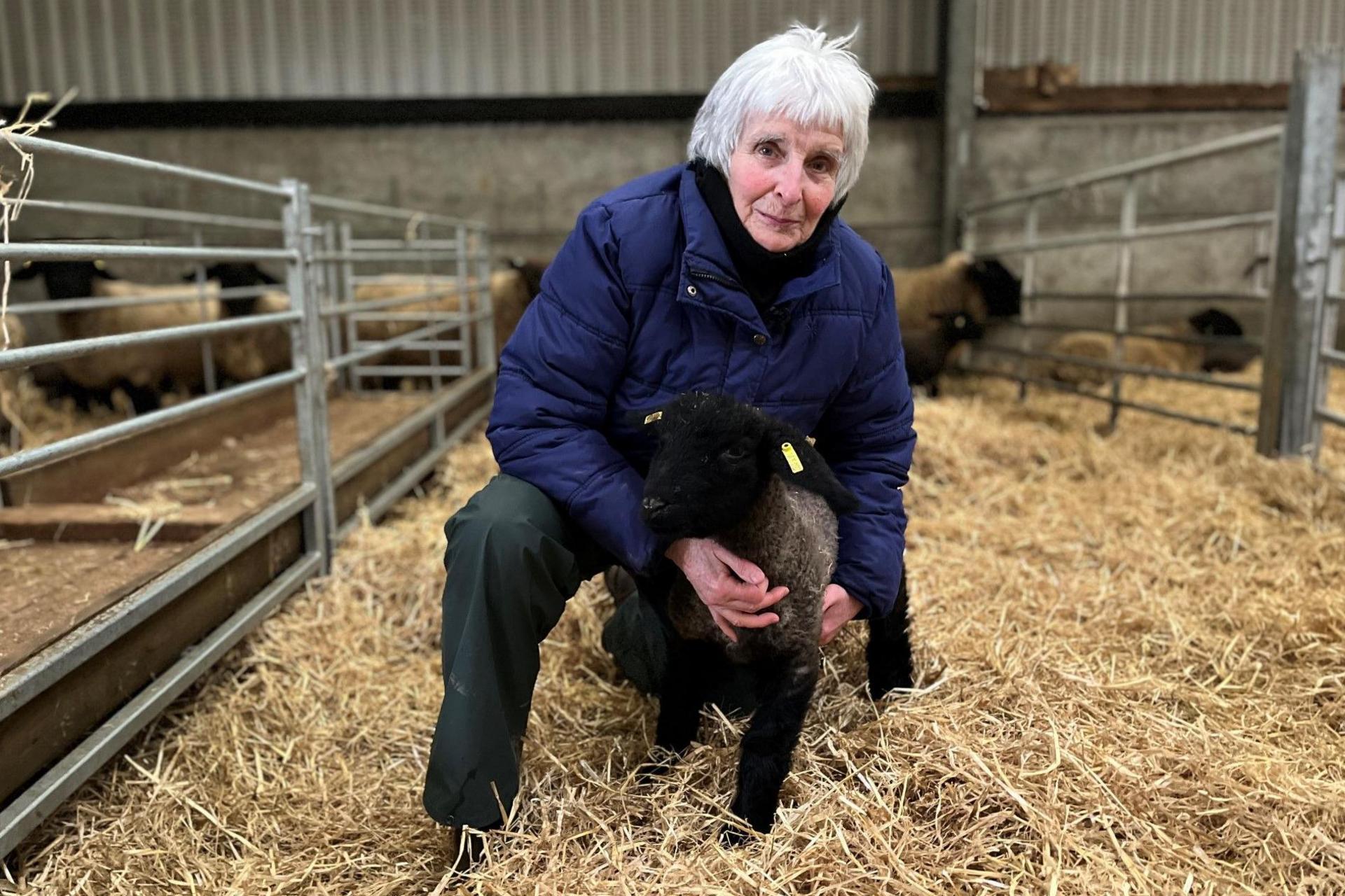 Farmer Helen Goldie kneels down, holding a young lamb which has a grey body and black legs and face