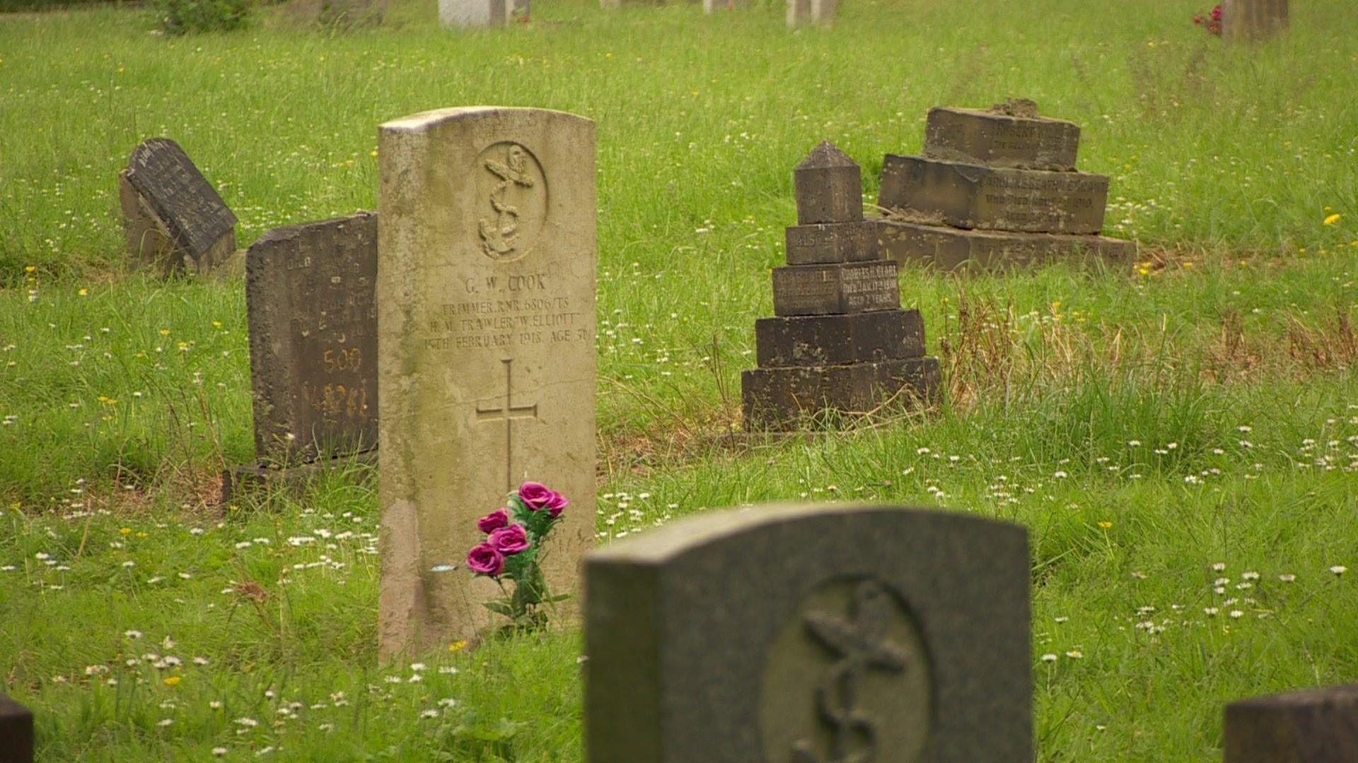 Pink roses stand in front of a war grave in Hull