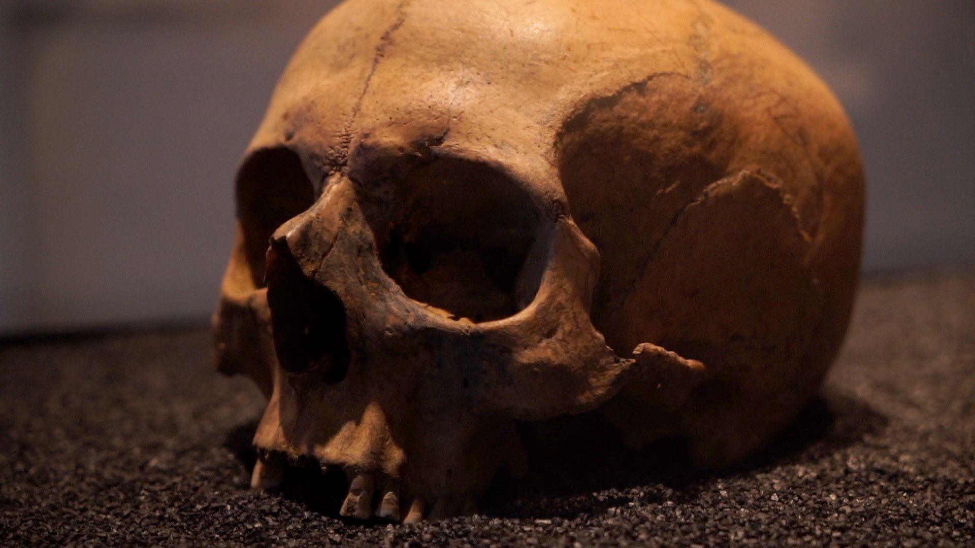 A skull from the Museum of London's collection which is thought to be from shortly after the period Romans occupied Britain. The top half without the bottom jaw, it's bathed in a yellow light and resting on what looks like black earth or sand.