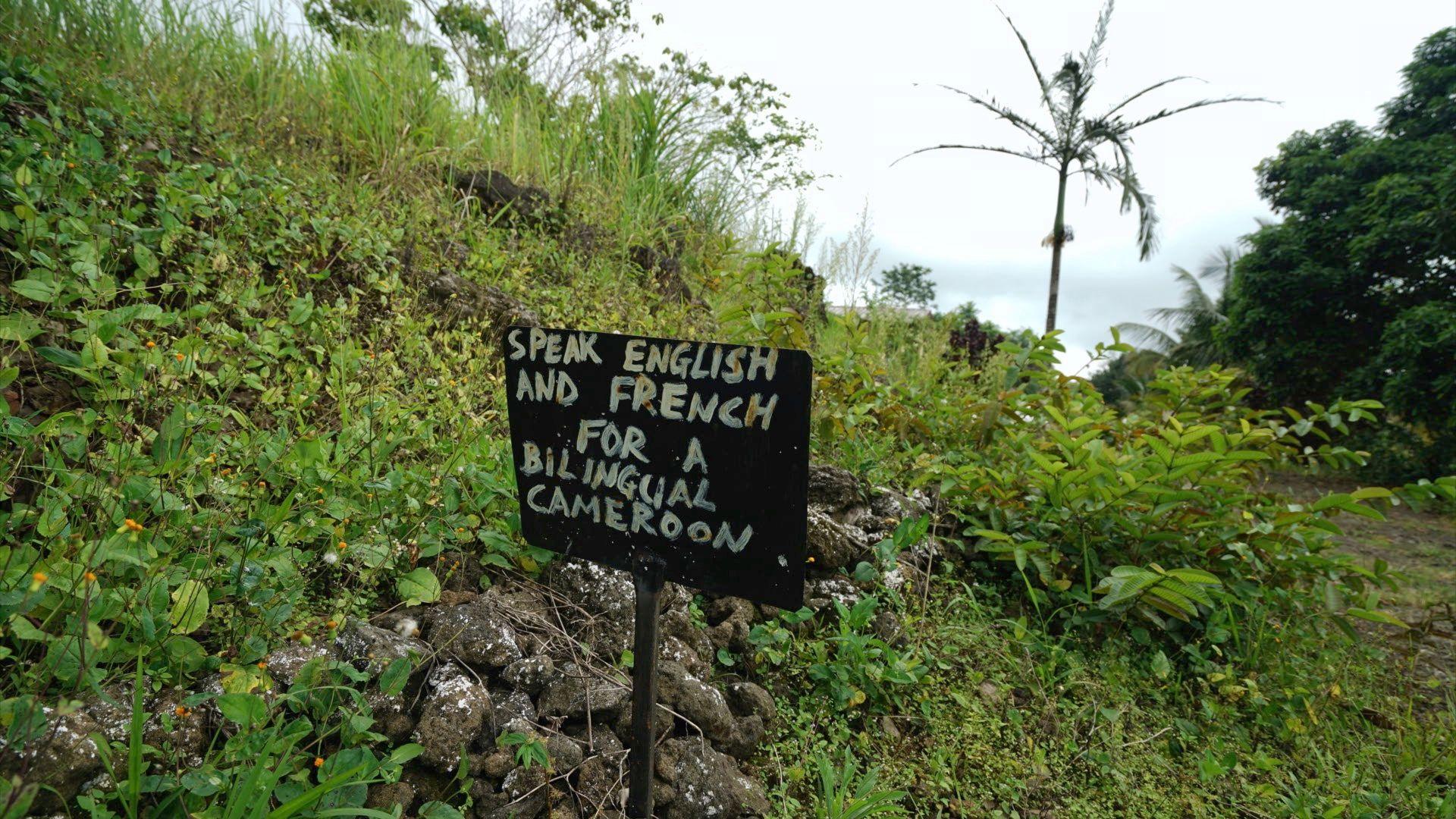 A sign saying " Speak English or French for a bilingual Cameroon" .