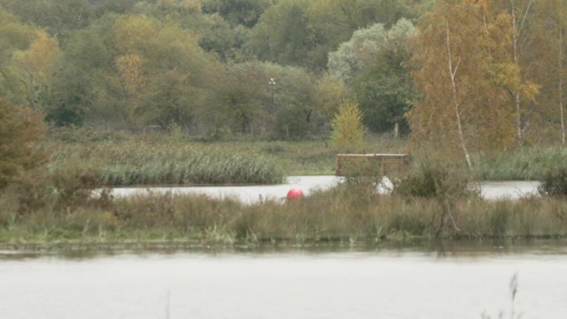 Lakes surround by tall grasses. There are trees in the background. There is a red buoy in the middle distance.