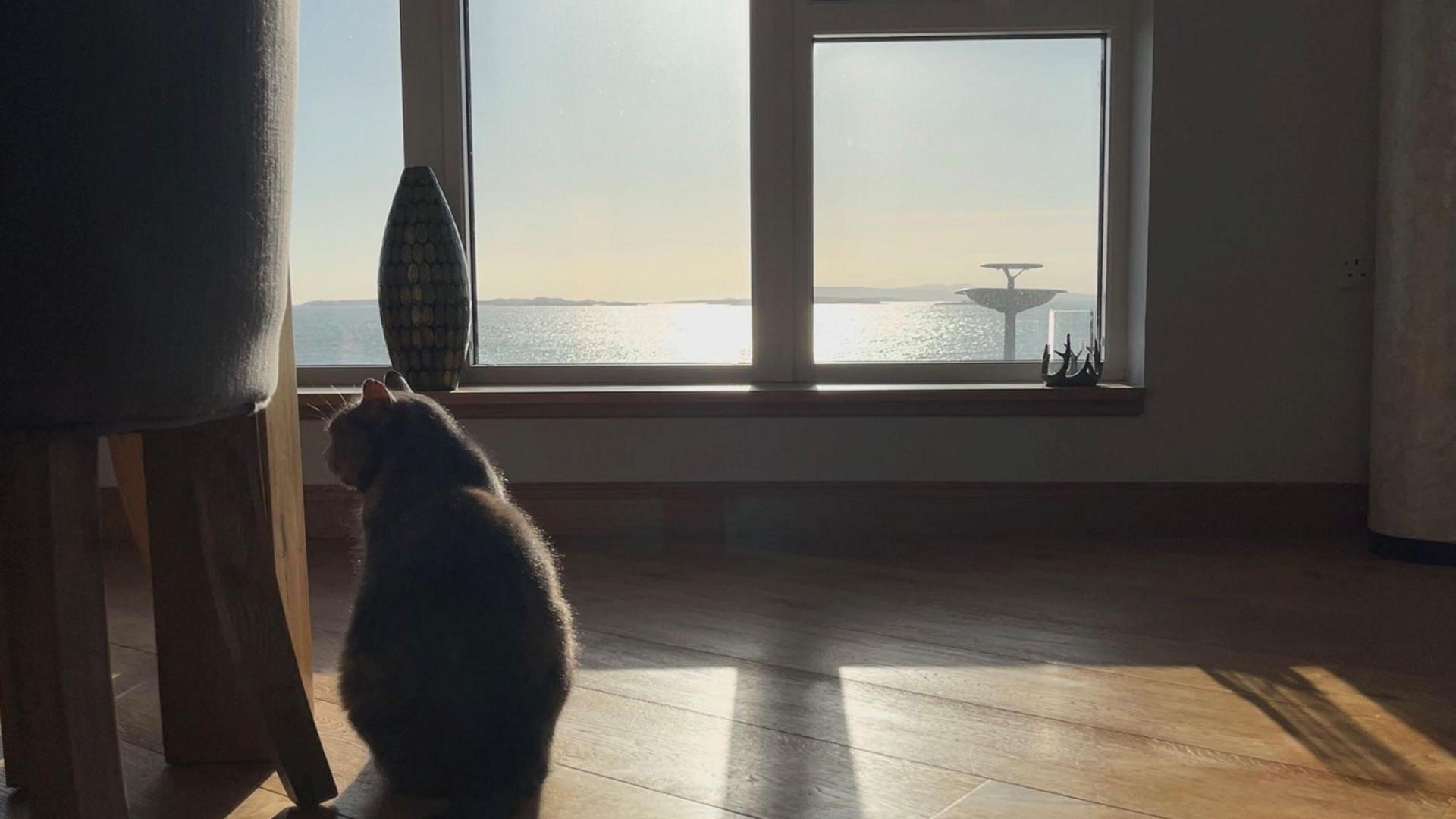 Flora is sitting at a large window. Sunlight is streaming into the house from the window. The window looks out at the sea.