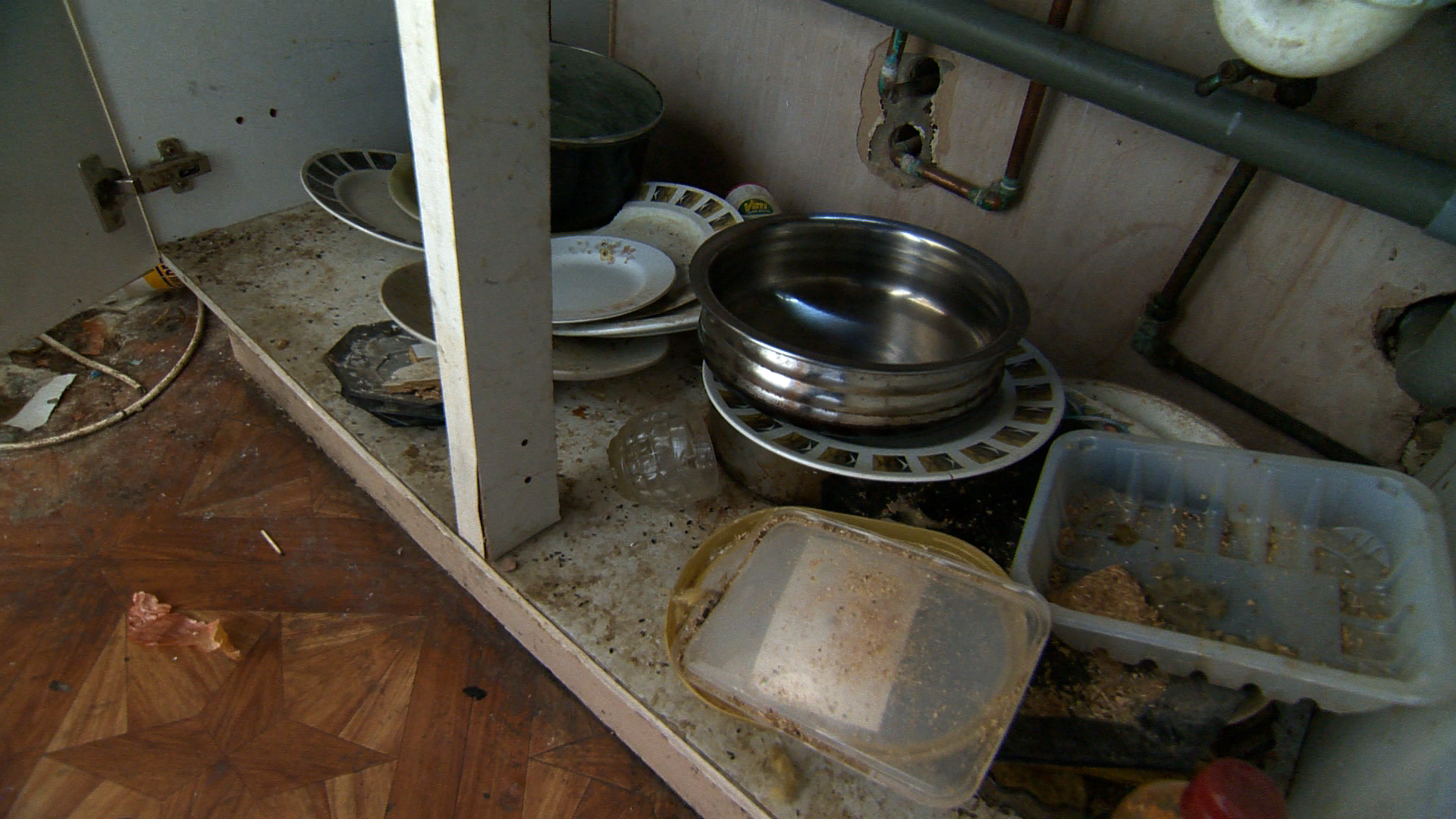 Mouse droppings in the kitchen units