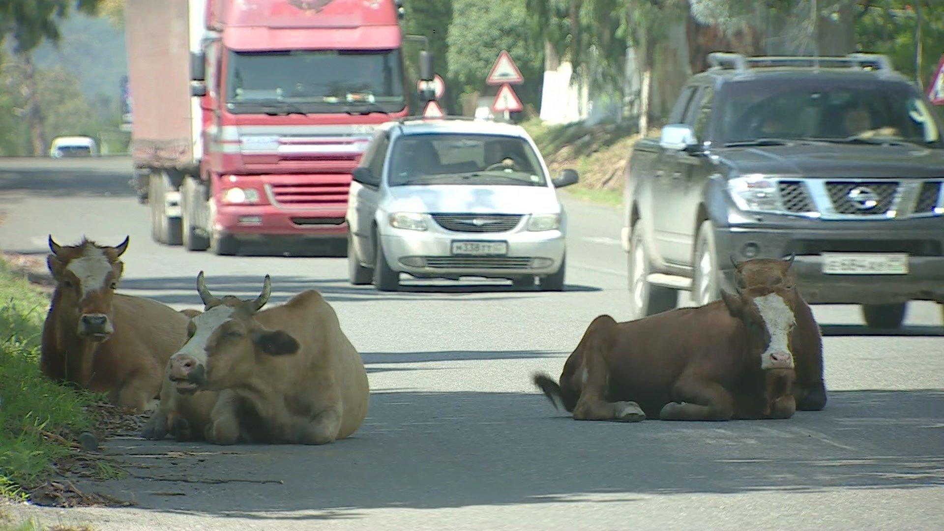 The roads are restored with Russian finance