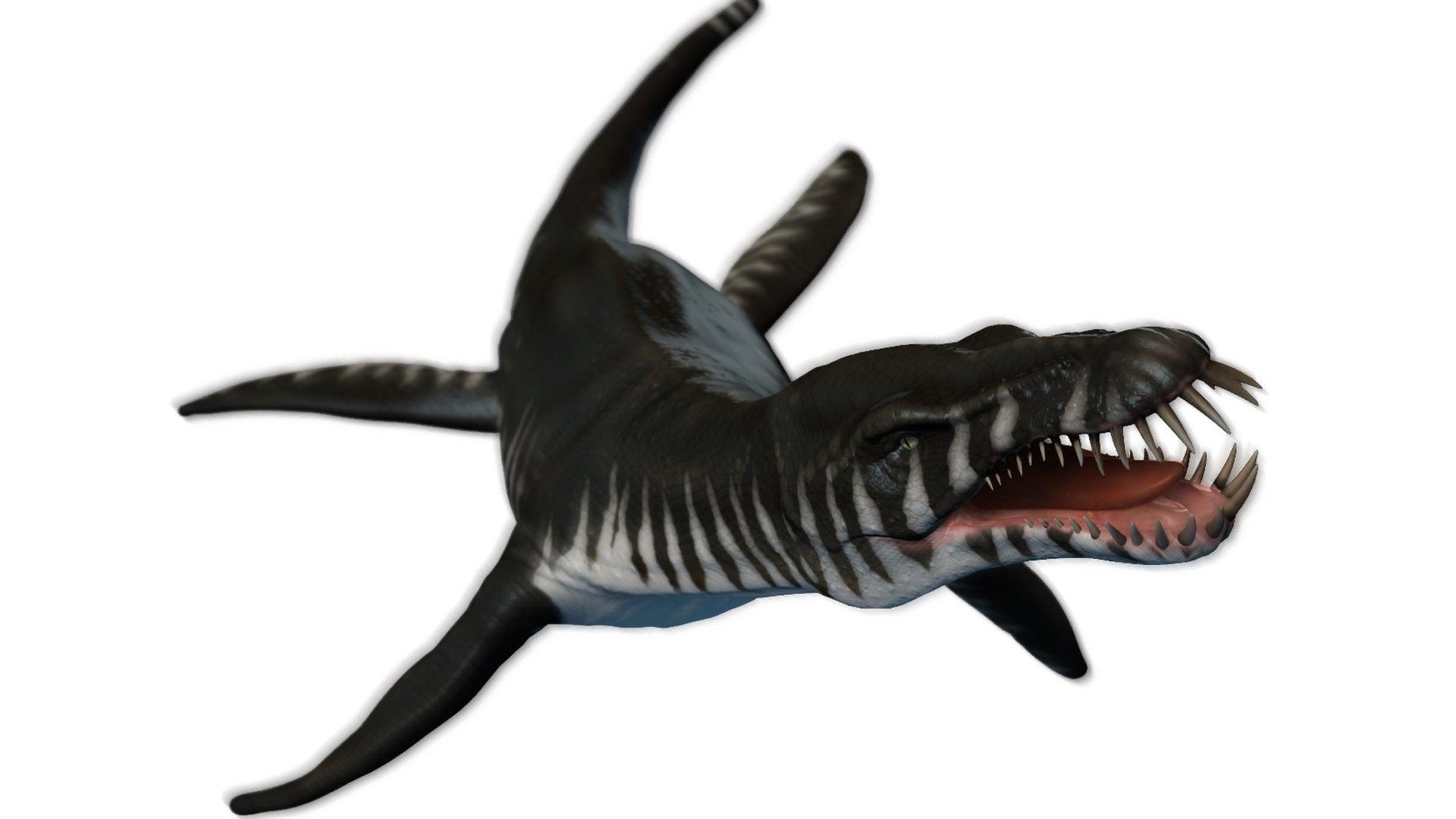 A Liopleurodon