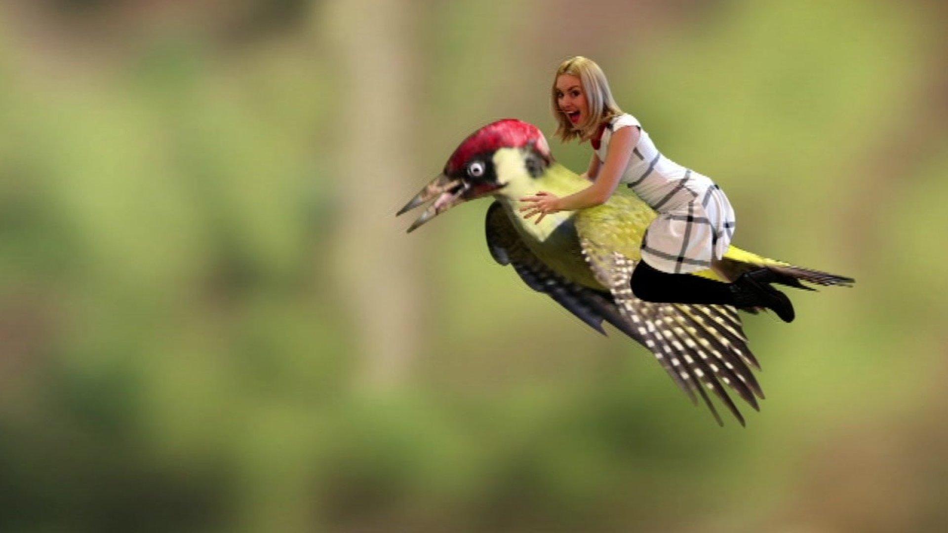 Hayley on a woodpecker