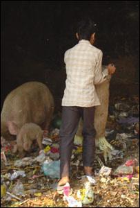 Collecting waste in Nand Nagri, on the outskirts of Delhi, India