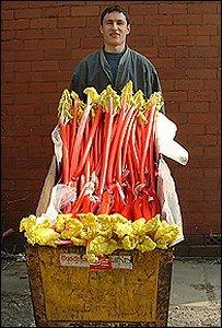 Barrow full of rhubarb