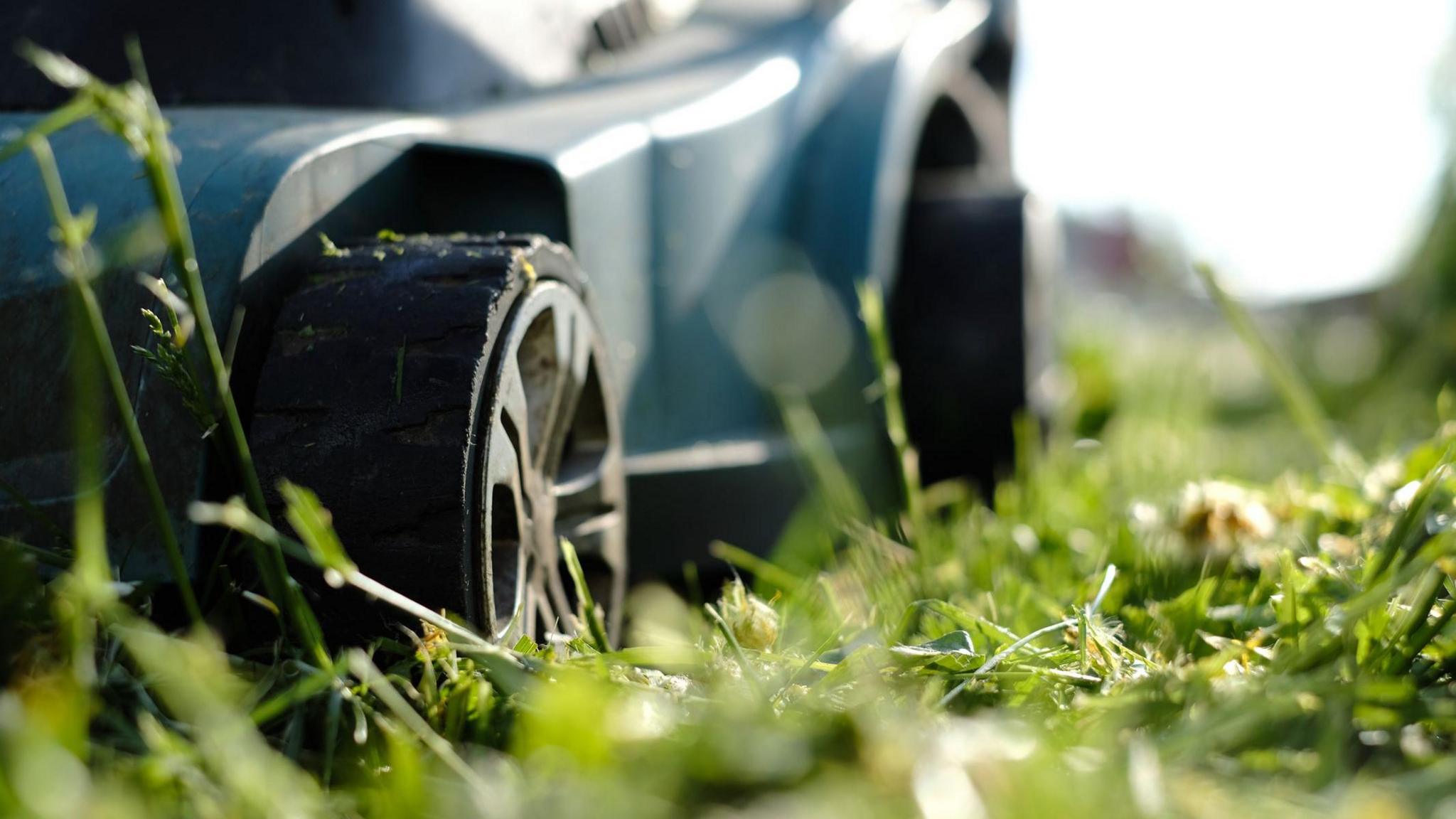 A close-up view of a lawn mower cutting through grass