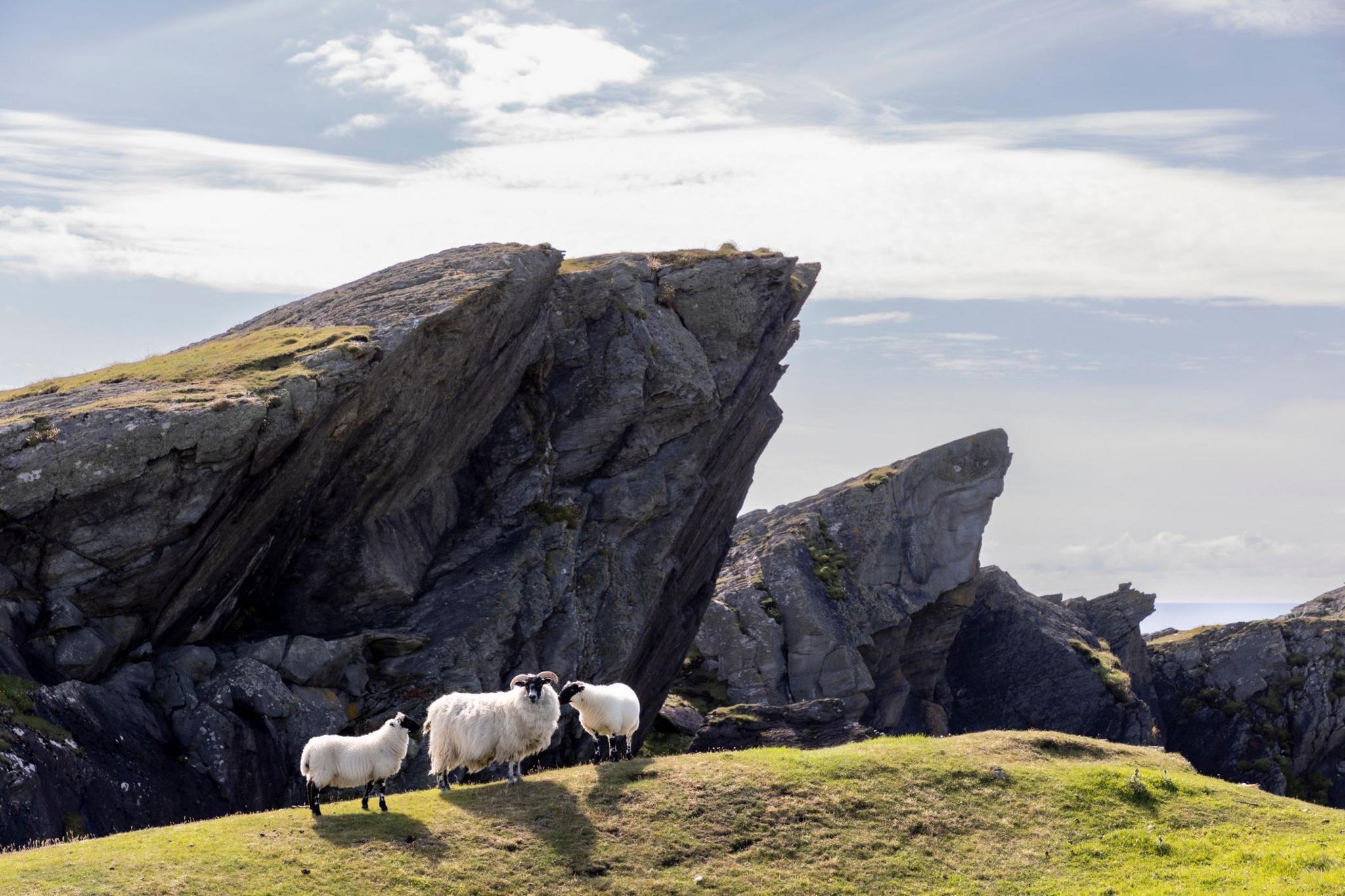 Cliffs jutting against a bright, but cloudy sky - there are three sheep in the foreground standing on a grassy slope