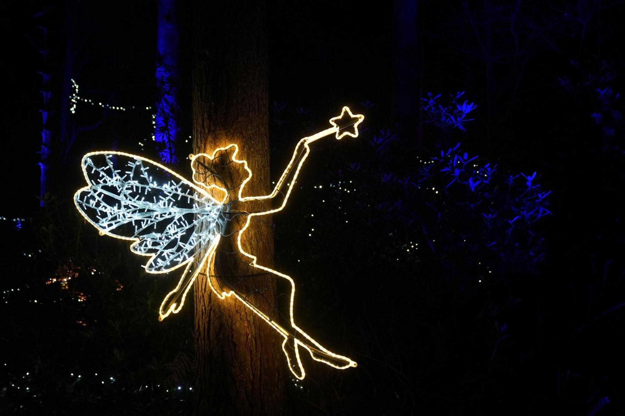 A fairy is illuminated during Luminate Sandringham