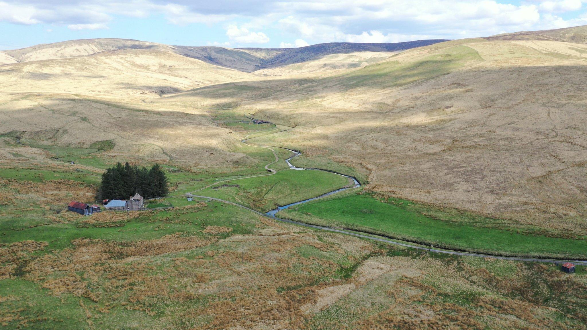 Langholm Moor