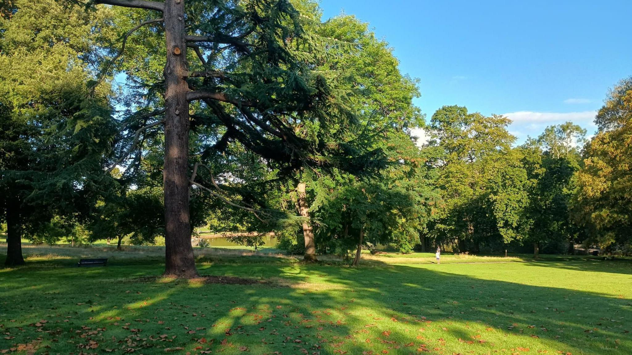 St George Park on a sunny morning with the grass and trees very green.