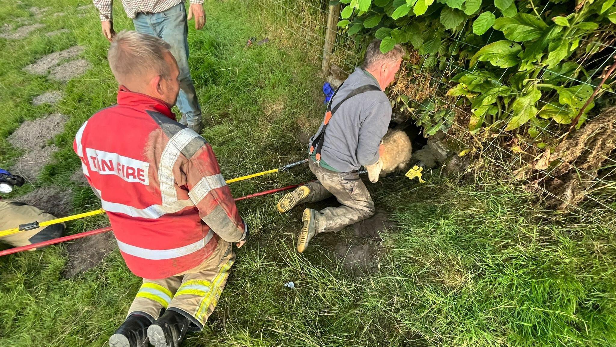 The fire crew members and farmer helping with the rescue 