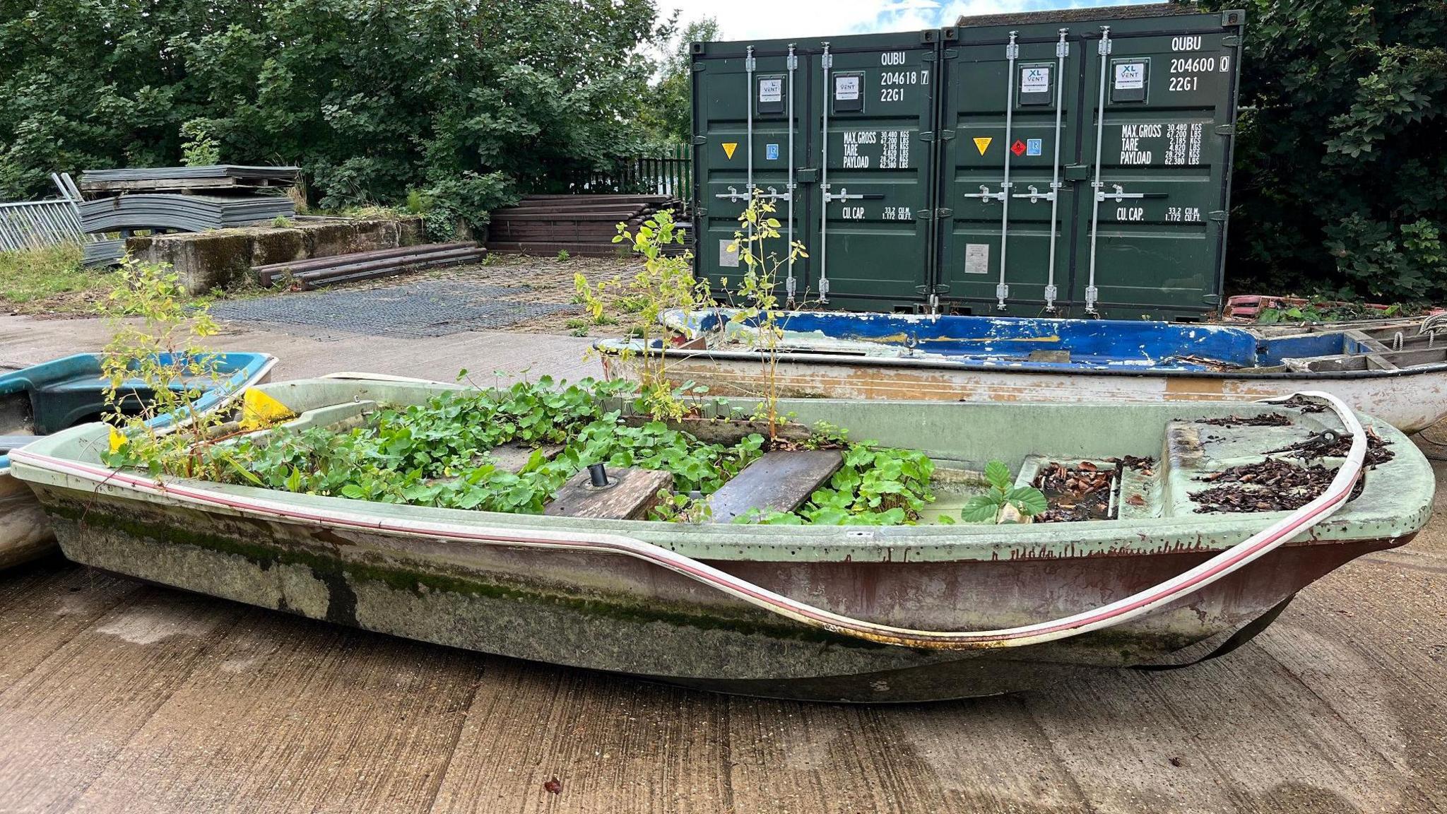 A boat which has plants growing in the bottom of it. It is a small boat in a pale green colour and has been pulled out of the water, and is sitting with a couple of others on a concreted outdoor floor.