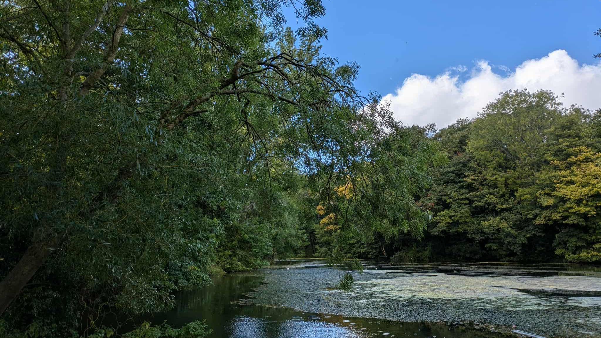 A lake surrounded by trees which are mostly green, although some are starting to turn yellow and orange.