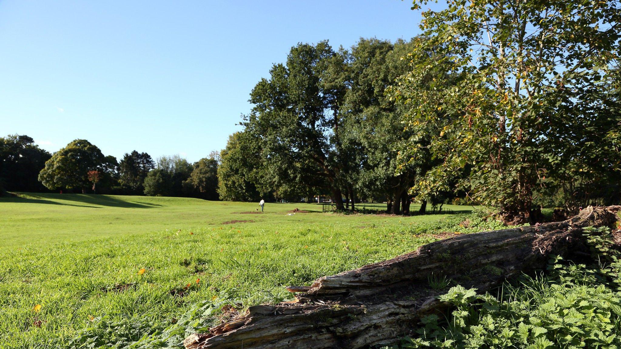 An open green space with mature trees