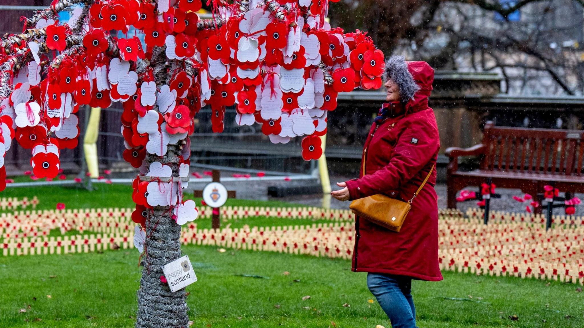 A member of the public looks at the memorial message tree before the Armistice Day service in the Garden of Remembrance at the Scott Monument, in Princes St Gardens, Edinburgh.