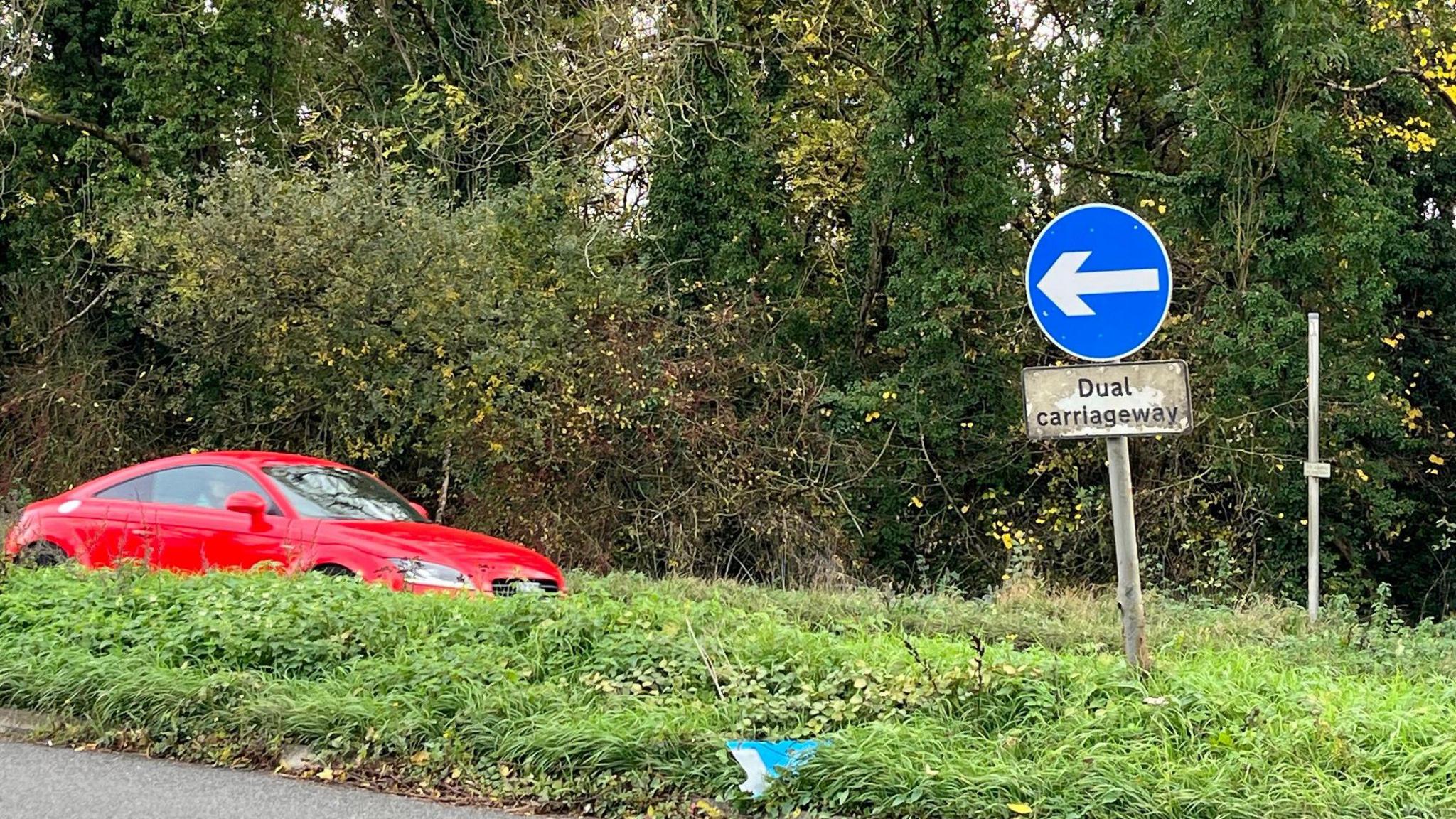 A low bank of grass between two directions of dual carriageway with a red sports car travelling behind it. Trees in the background and in the foreground a sign saying 'Dual carriageway' with a one-way arrow