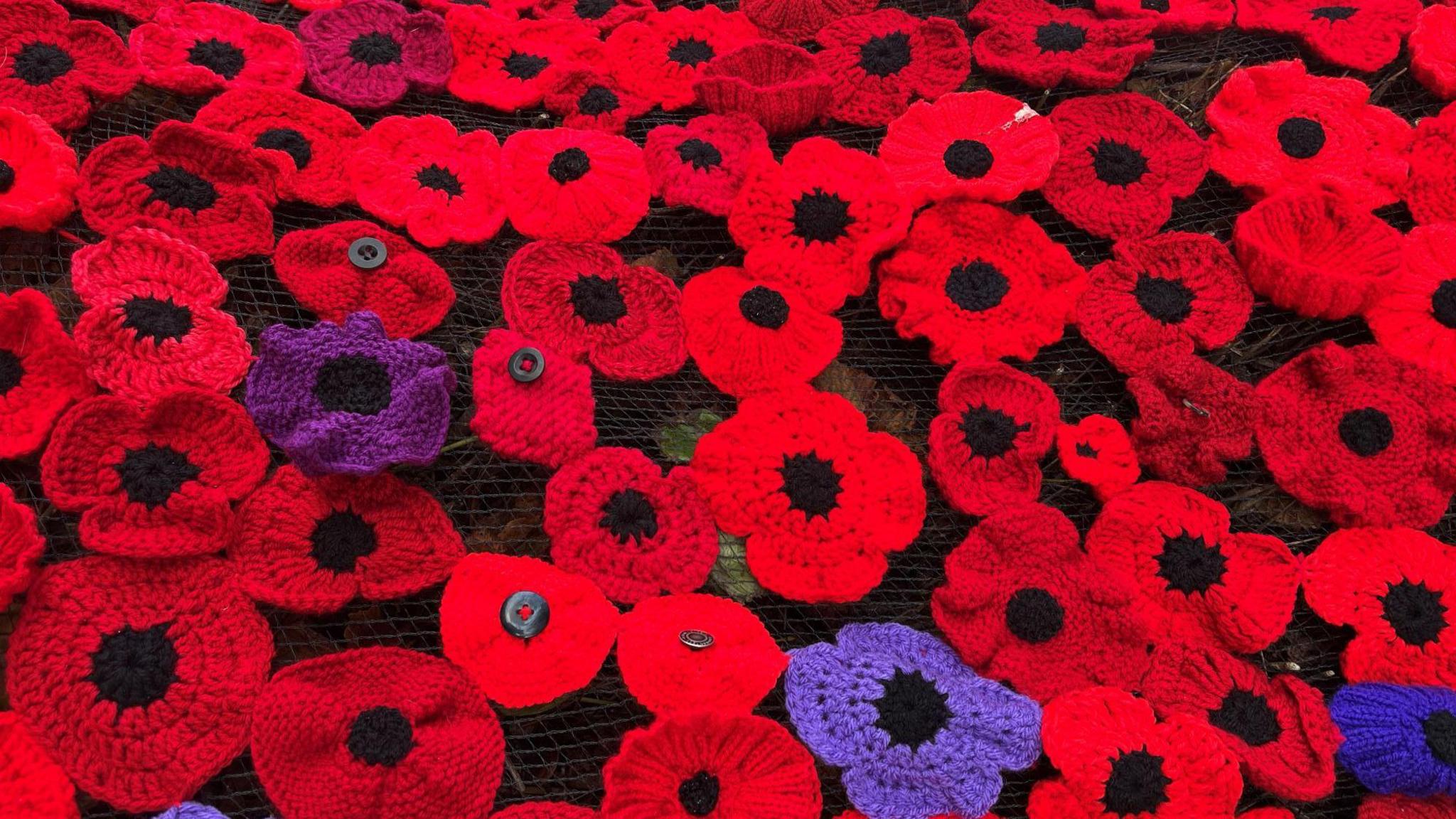 Knitted poppies in various shade of red and purple.