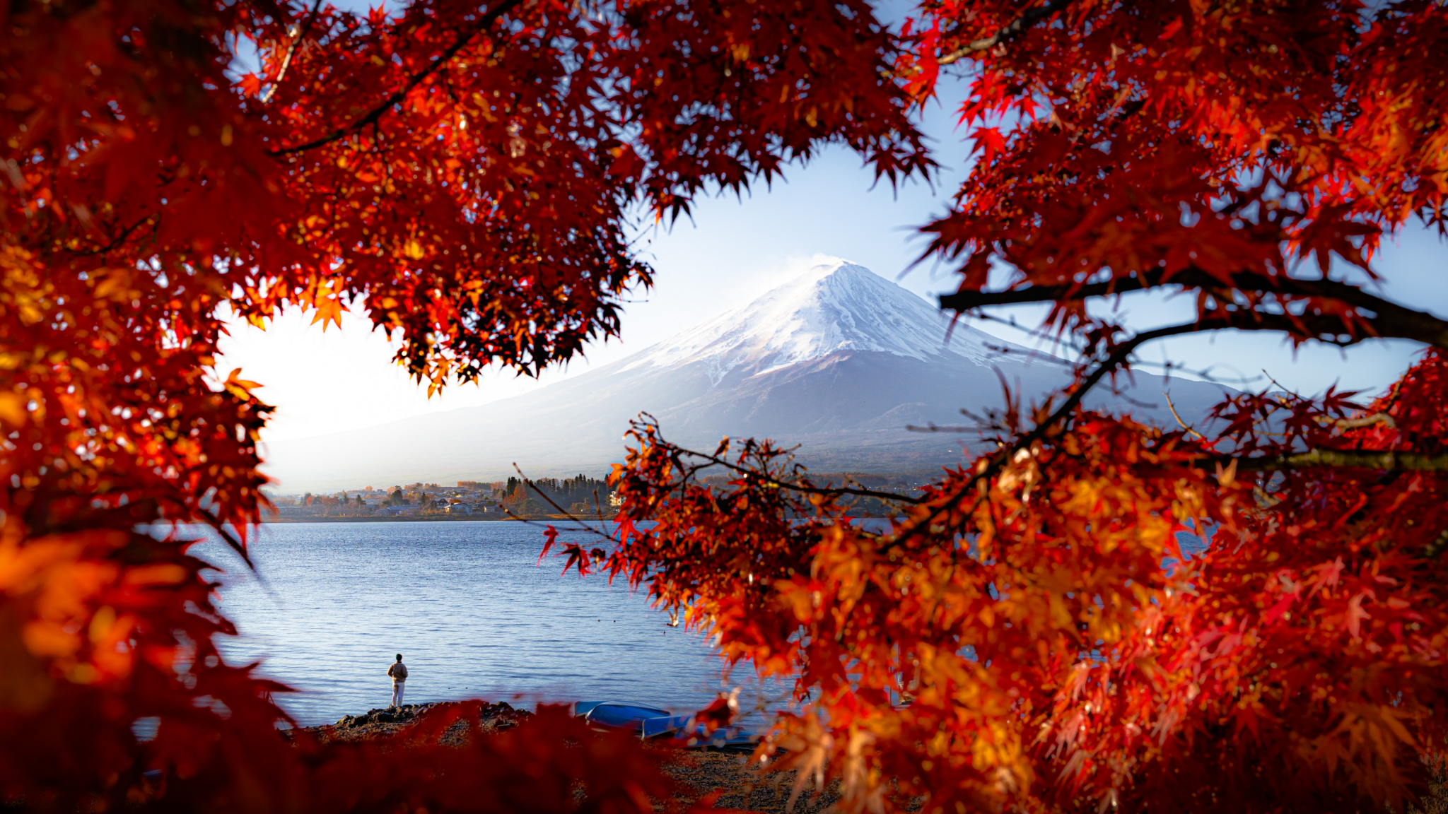 Red leaves on tree branches are hugging the edge of the foreground of the image. In the background you can see Mount Fuji covered in snow on its peak. It's a bit misty. There is a shoreline and water. A man stands on the shoreline of Lake Kawaguchi looking out to the mountain.