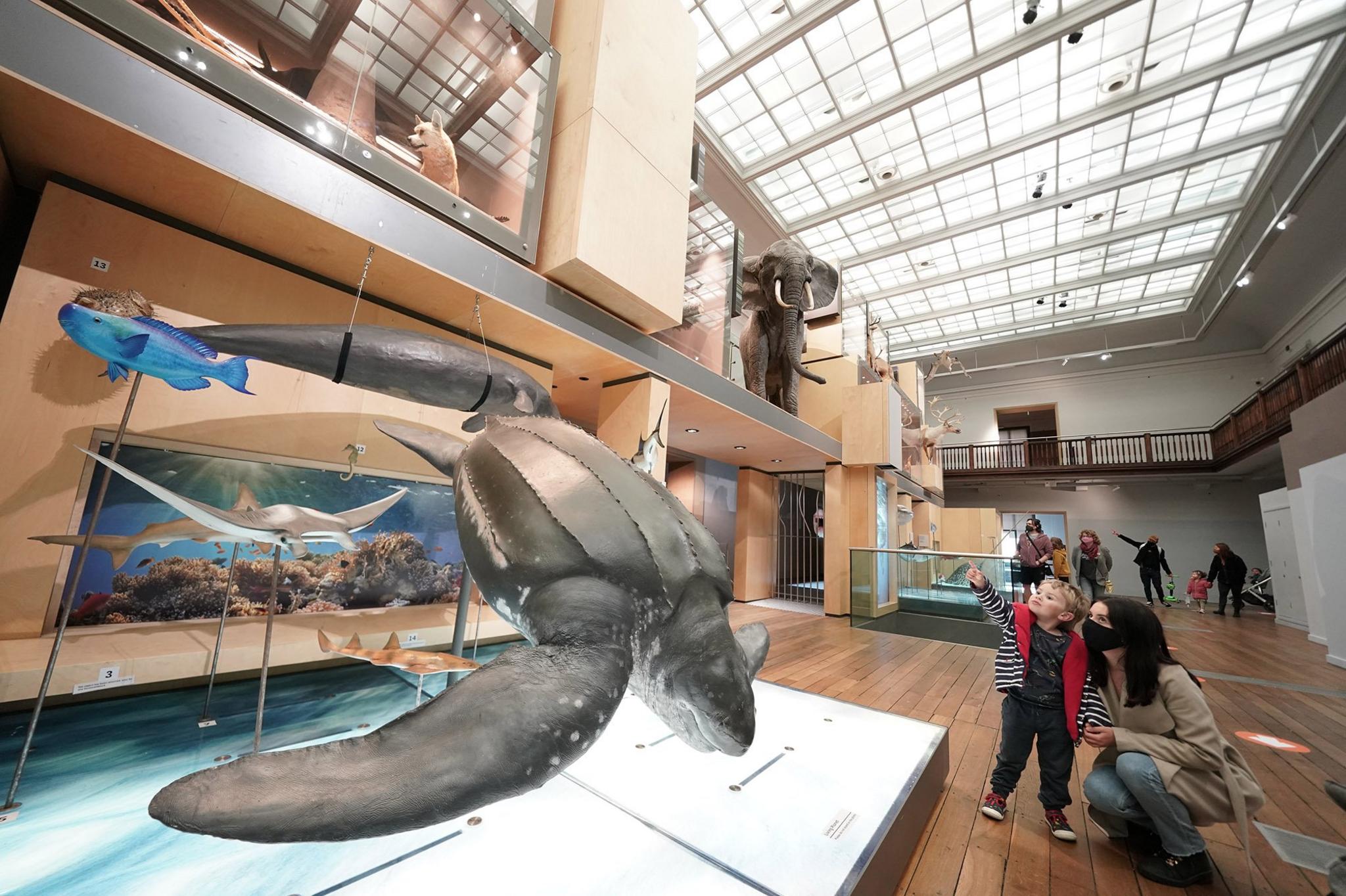 Charlotte Griffiths with her three year old son at the Great North Museum in Newcastle