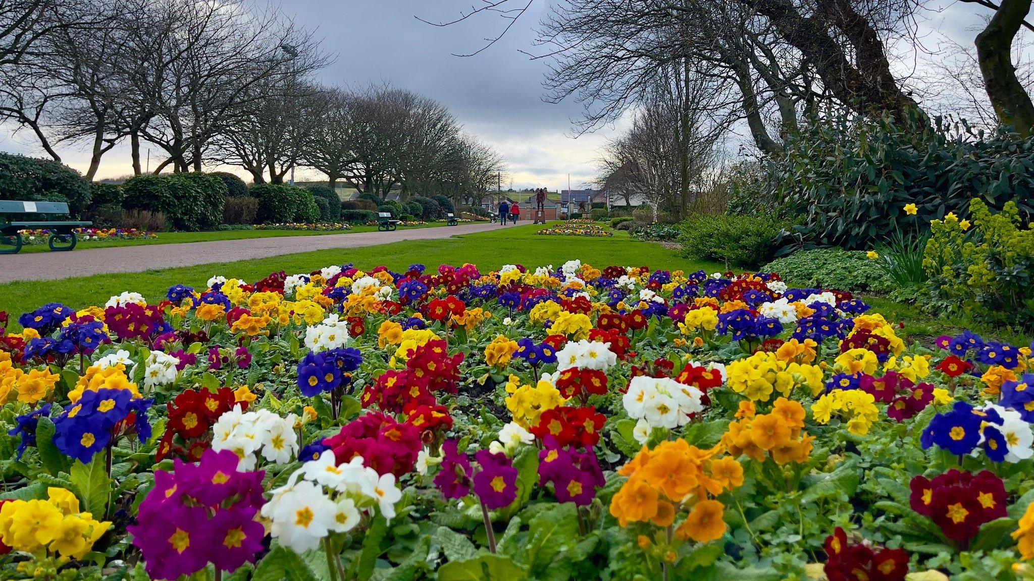 Flowers in Horden