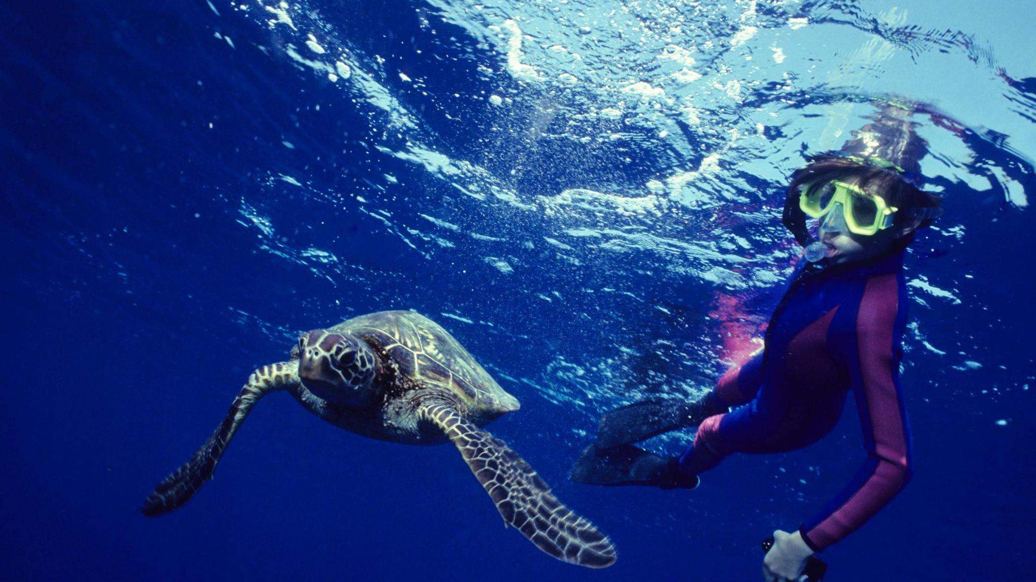 boy swimming with a turtle