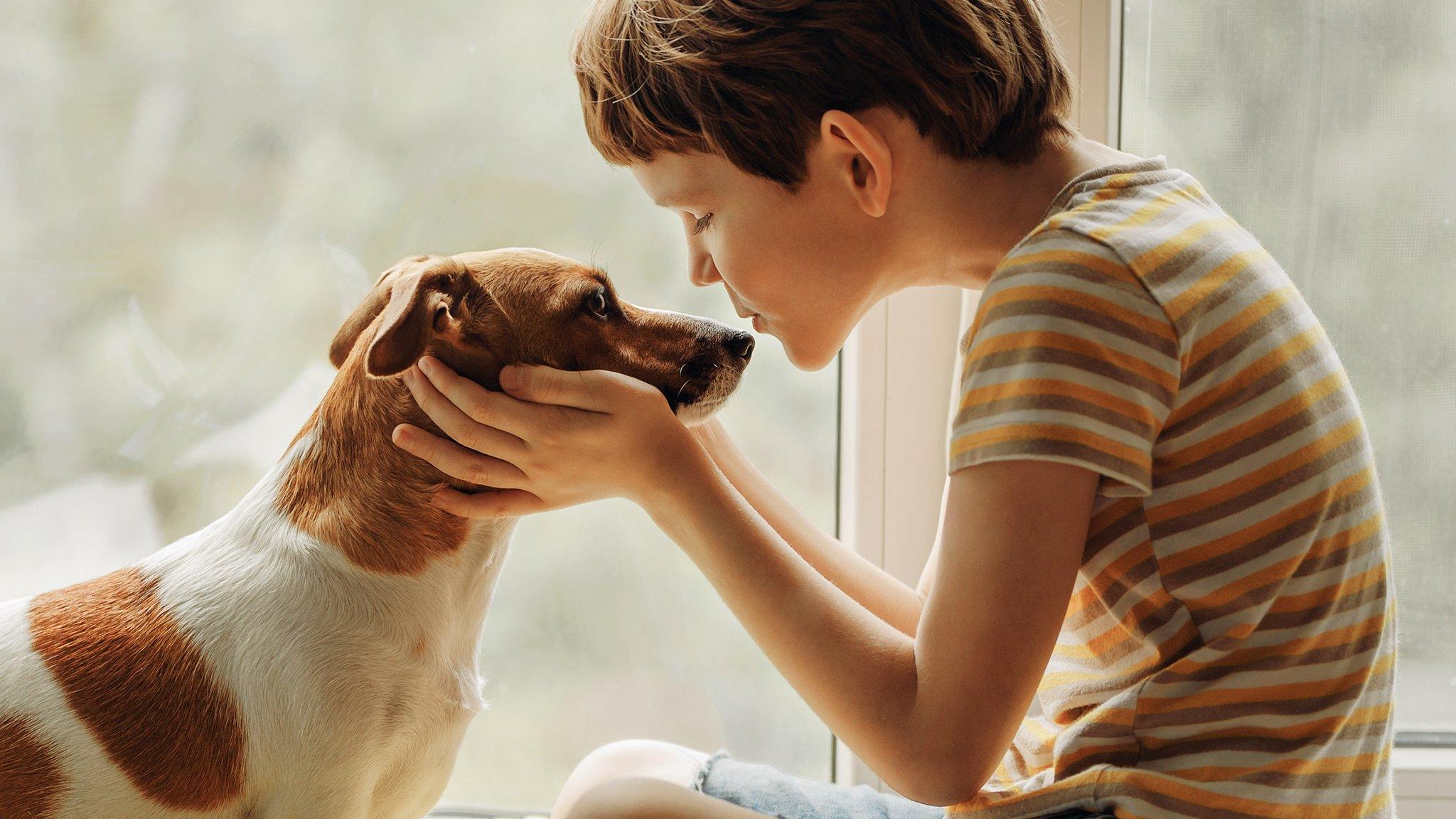 Child with dog