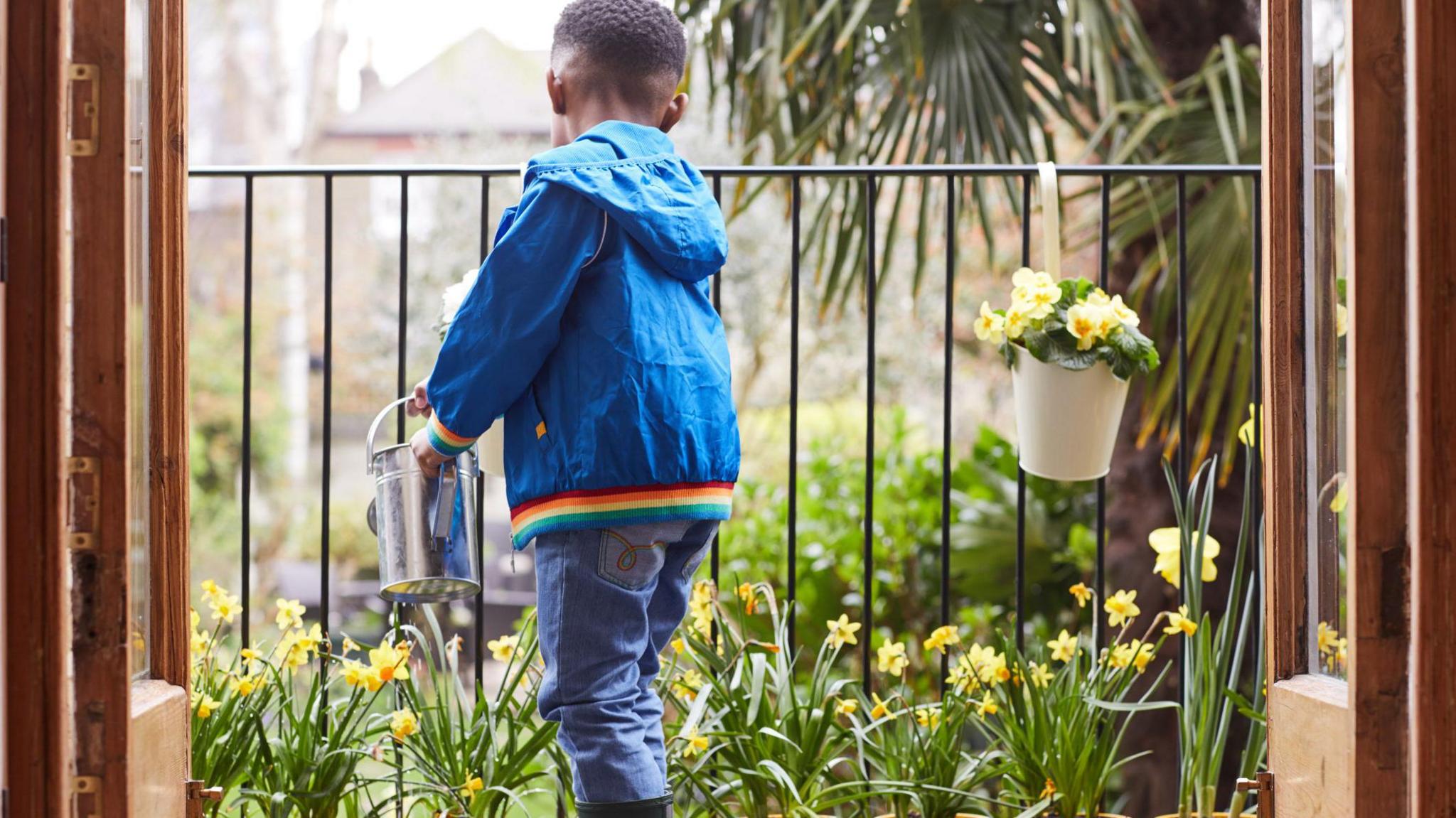 A boy waters daffodils on a balcony