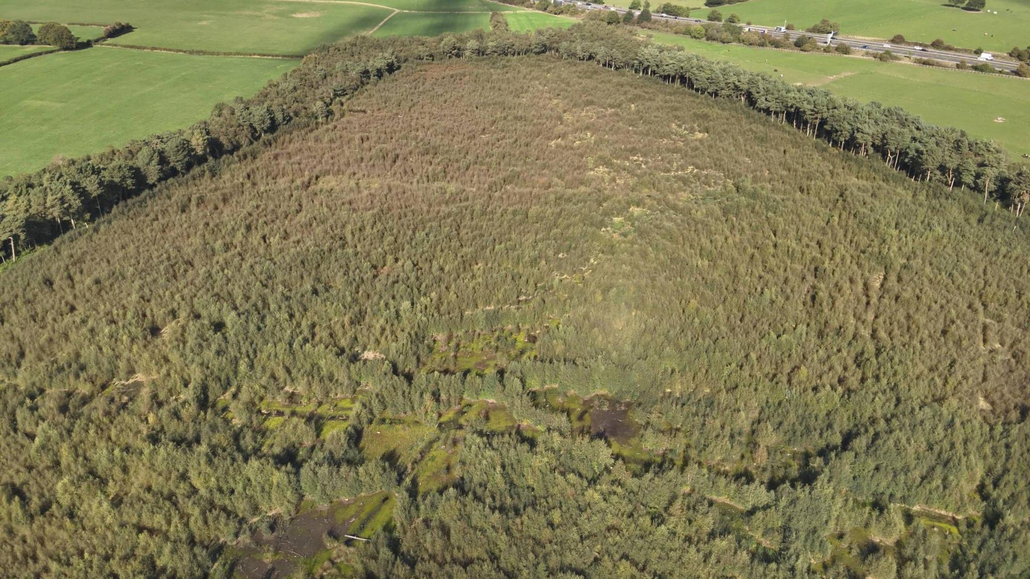 An aerial shot of a huge woodland area with a couple of visible bogs. The top of the plot is surrounded by empty fields with a motorway running through them.