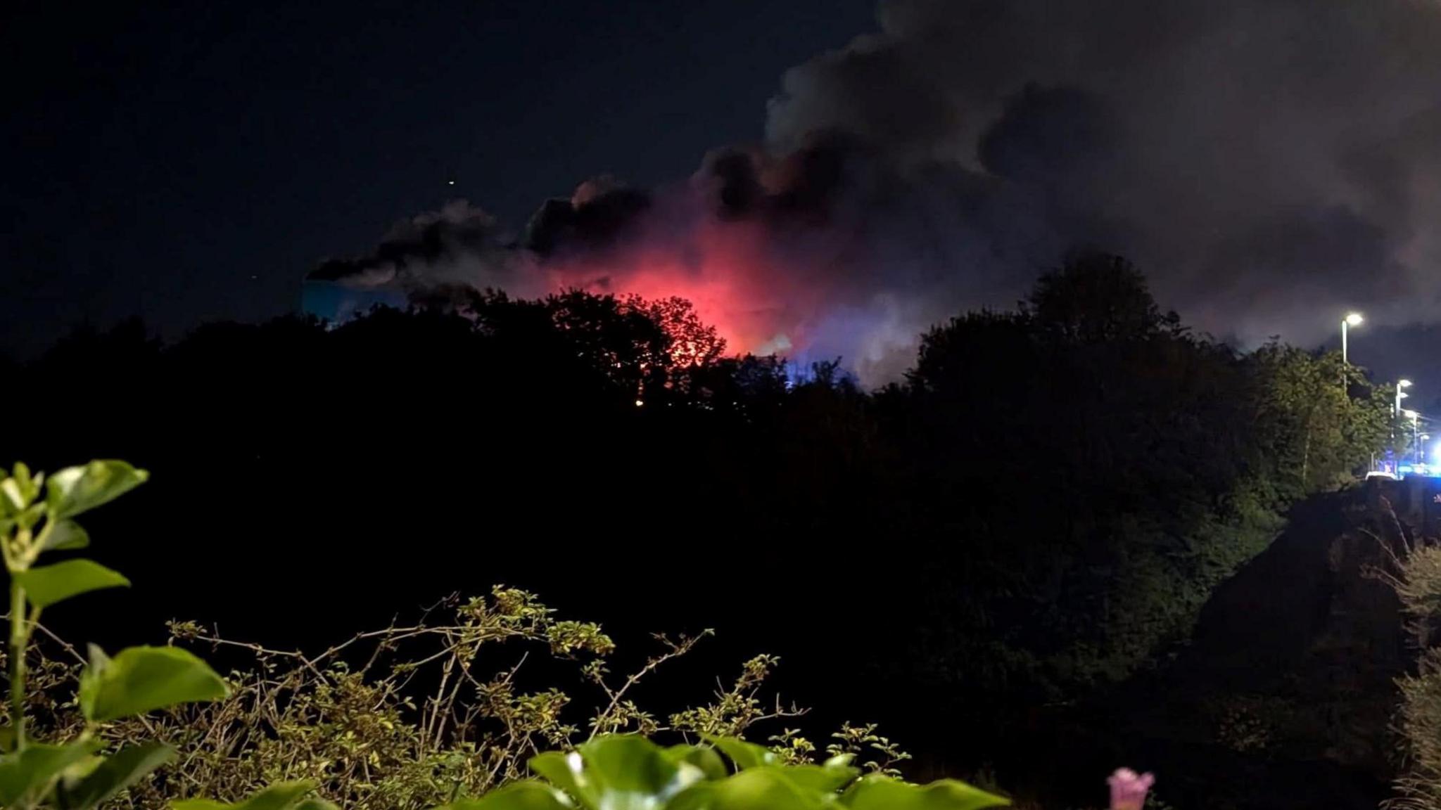 A bright orange glow and plumes of smoke rising in the night sky. In the foreground are trees and bushes.