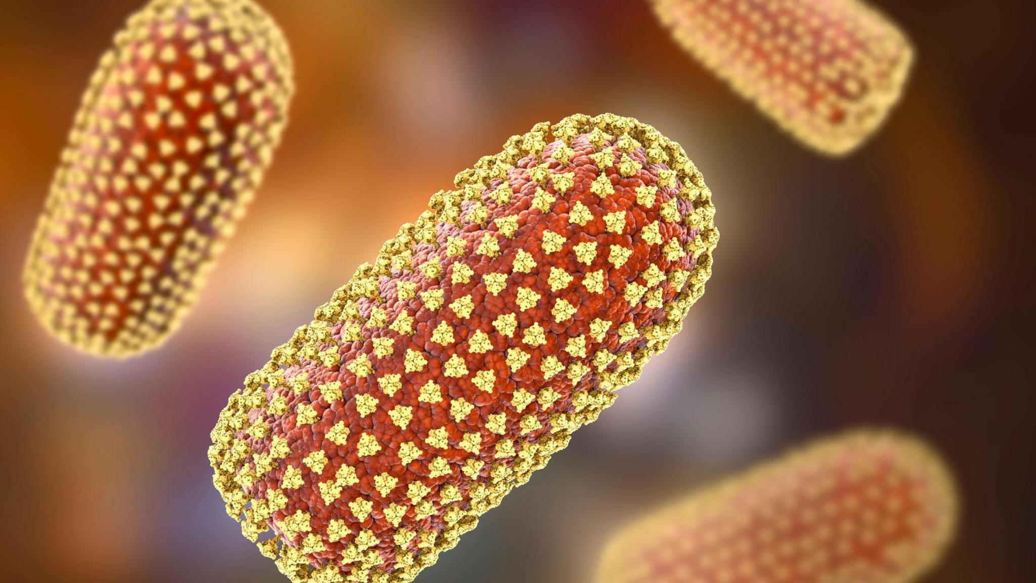 Yellow and red visualisation of what the rabies virus looks like under a microscope