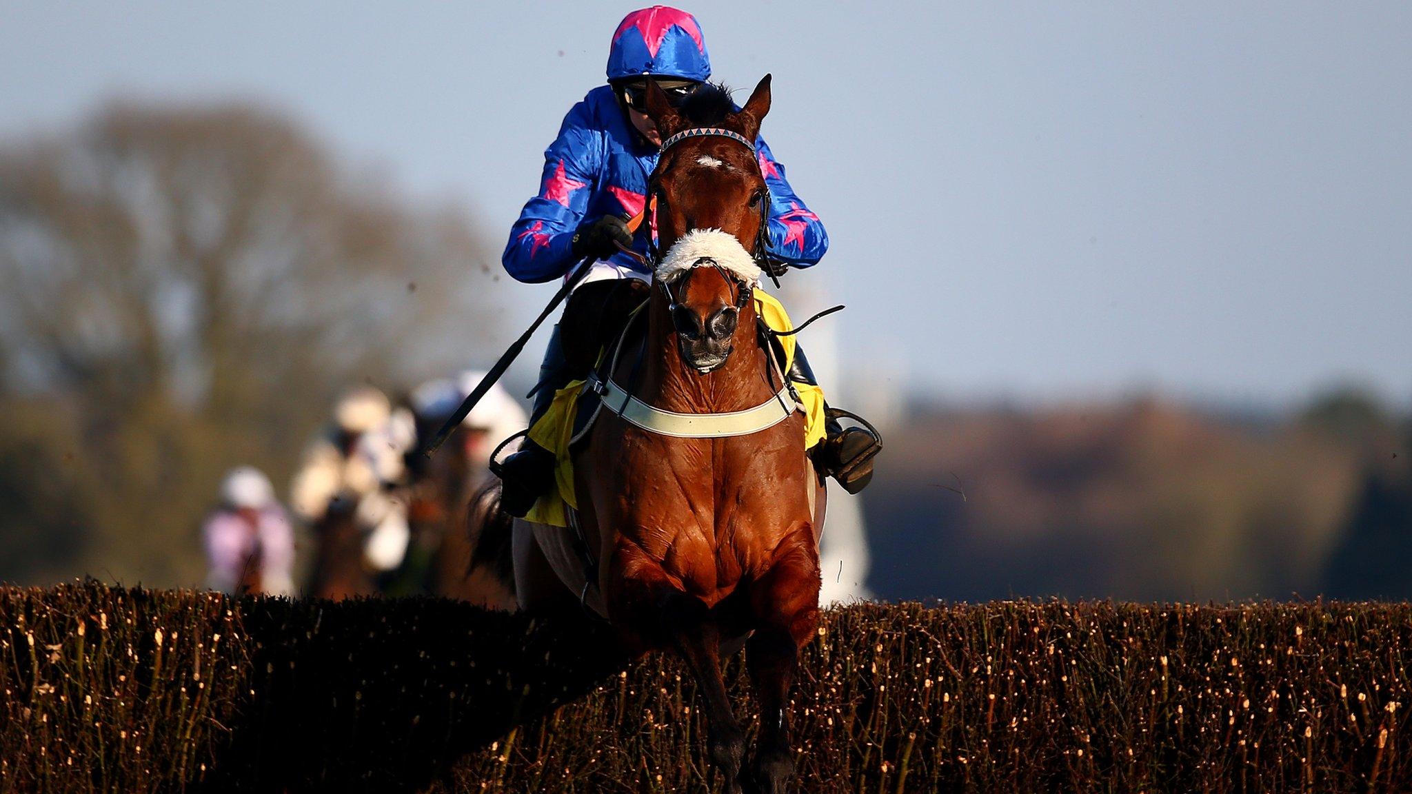 Cue Card ridden by Paddy Brennan