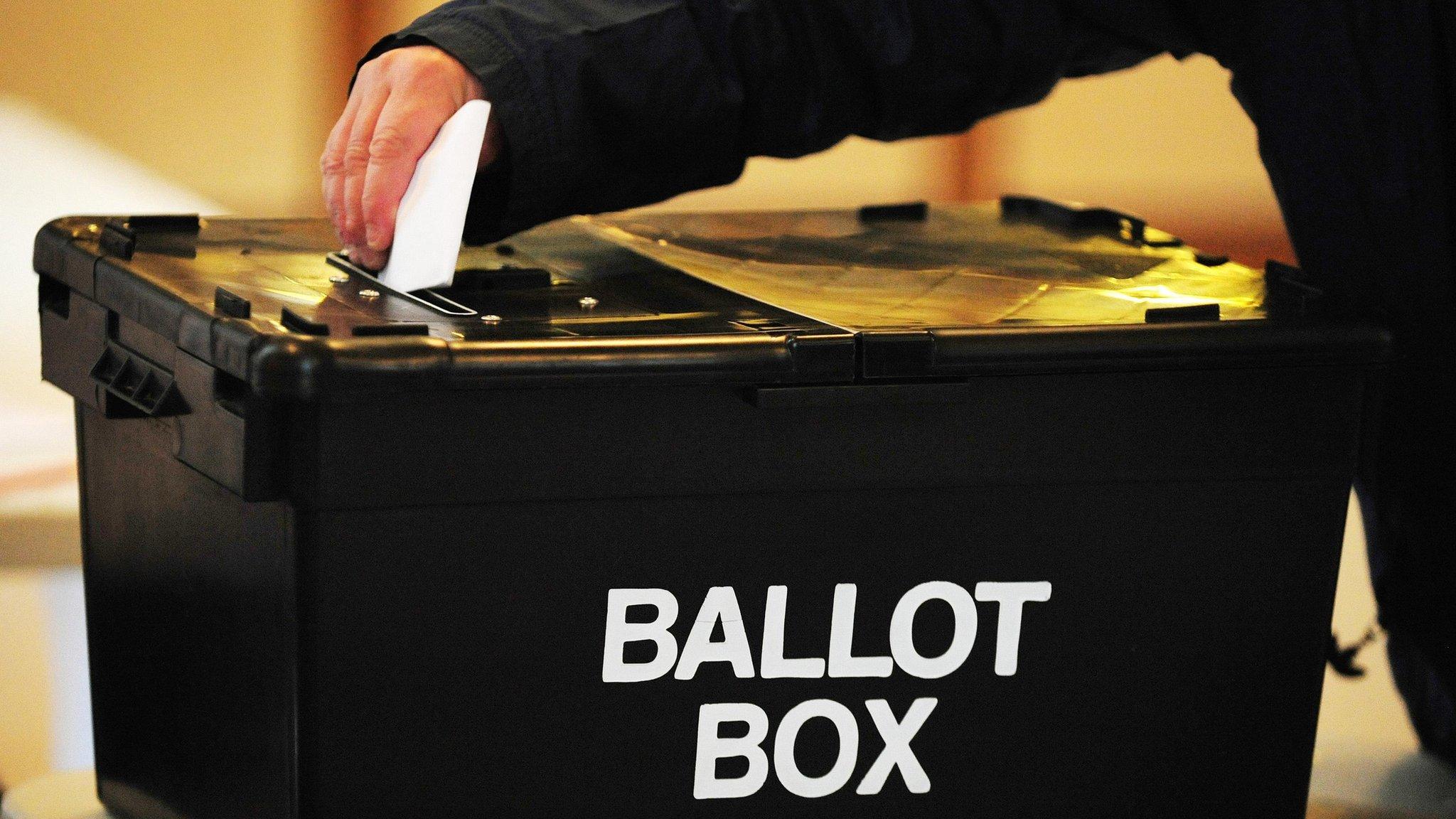 Voter at the ballot box