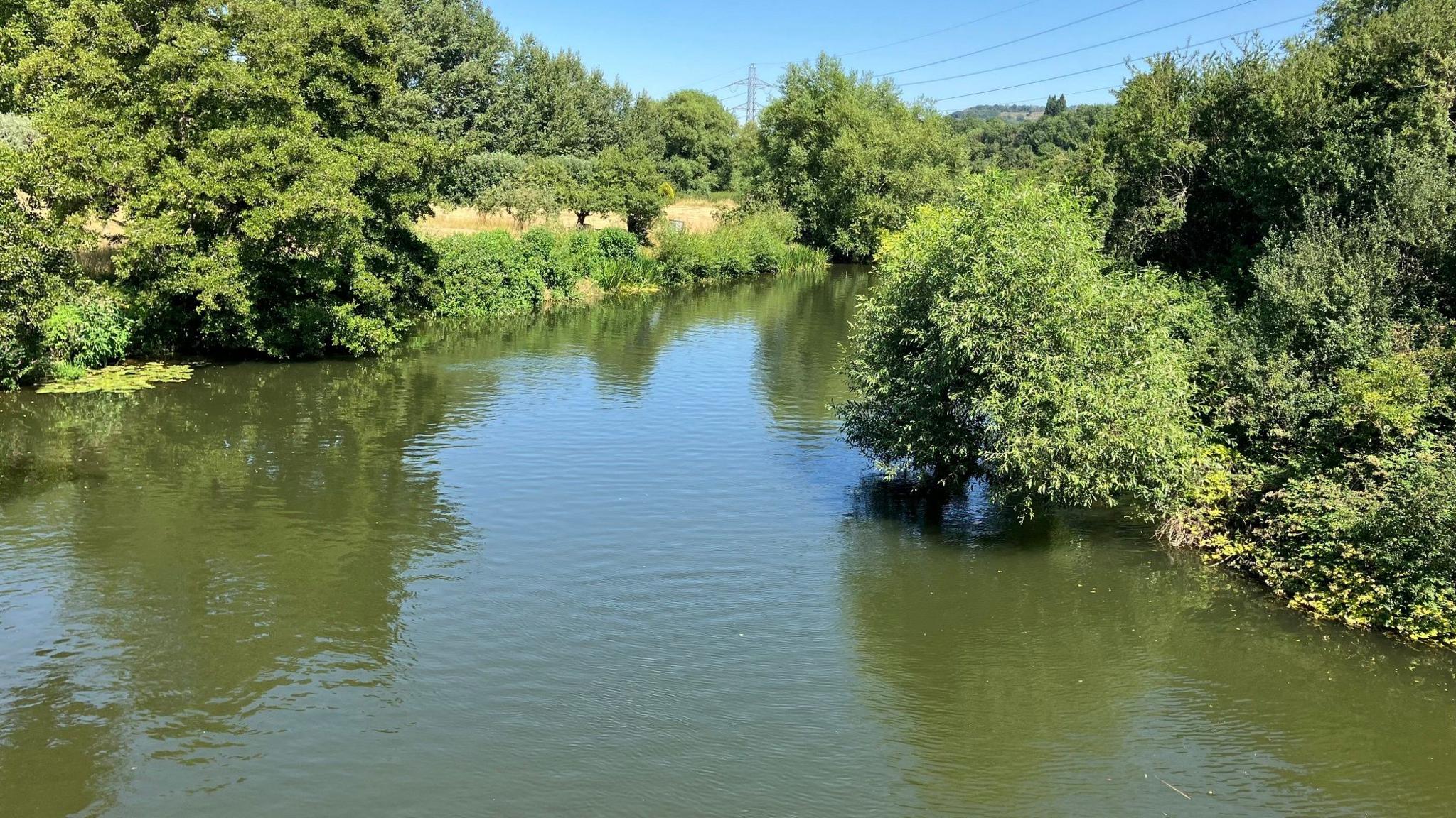The River Avon on a sunny day in the countryside - running through green fields, surrounded by trees. Electric pylons in the distance.