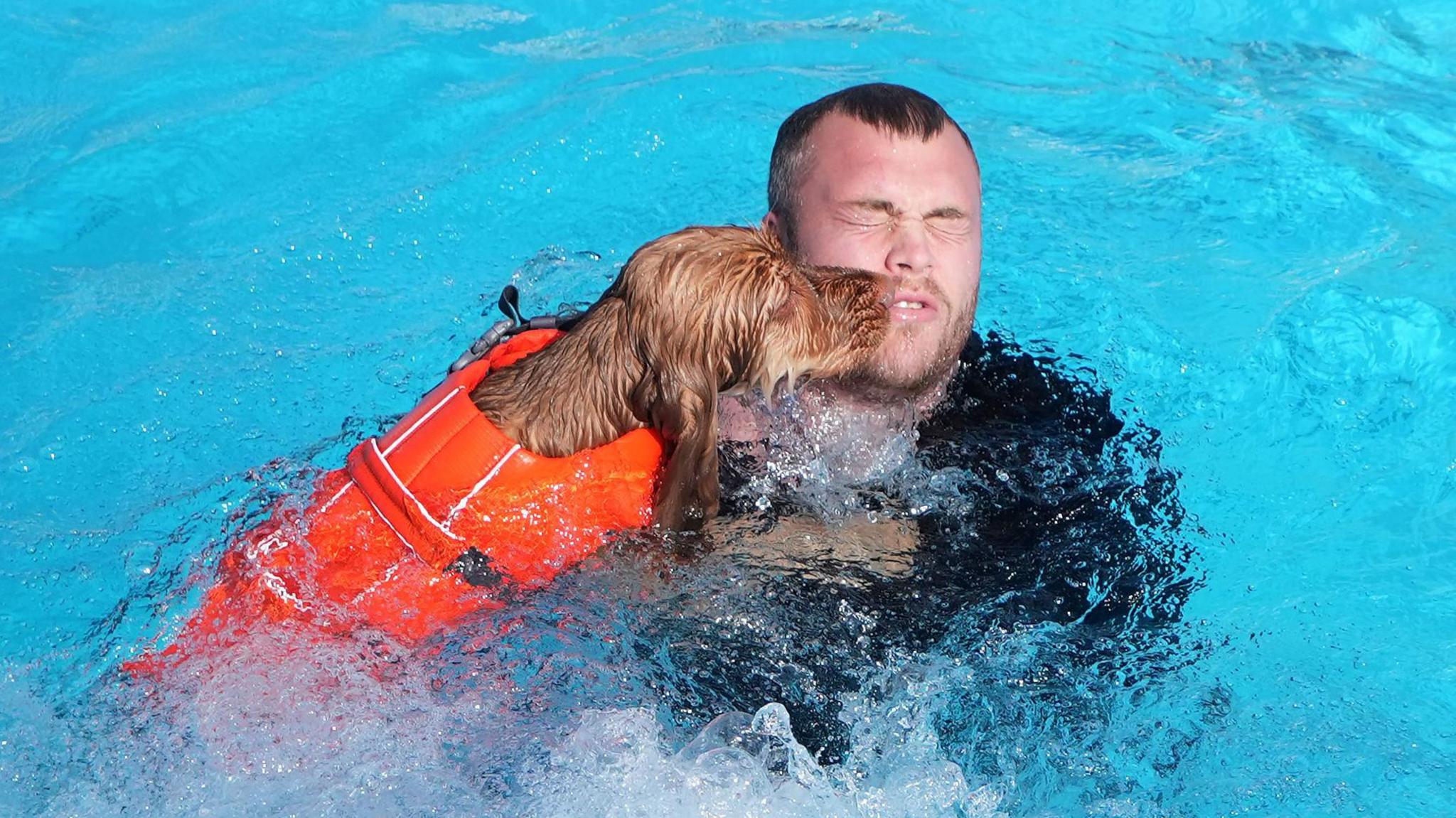 A dog in the pool on Saturday 