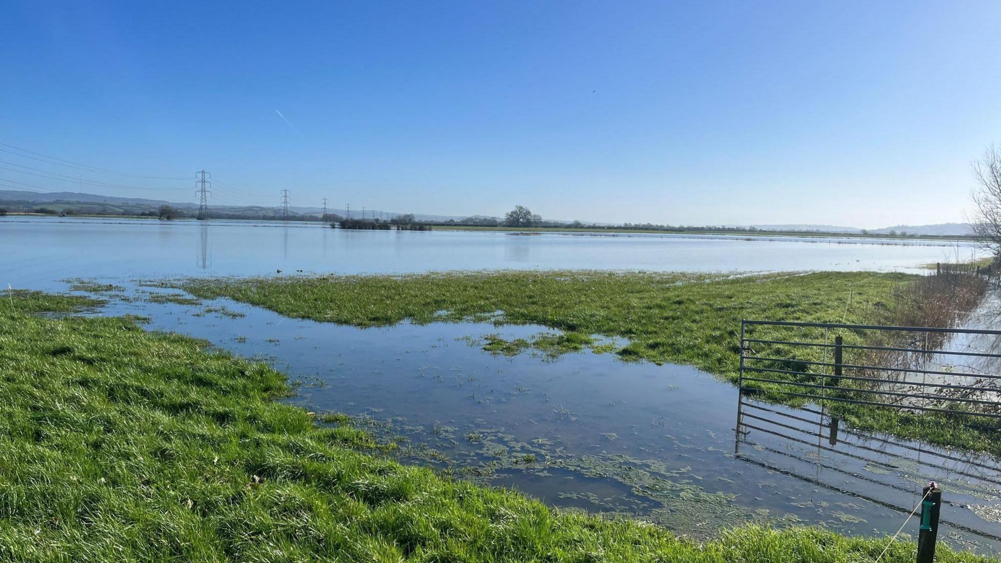 Waterlogged land belonging to Alan Franks