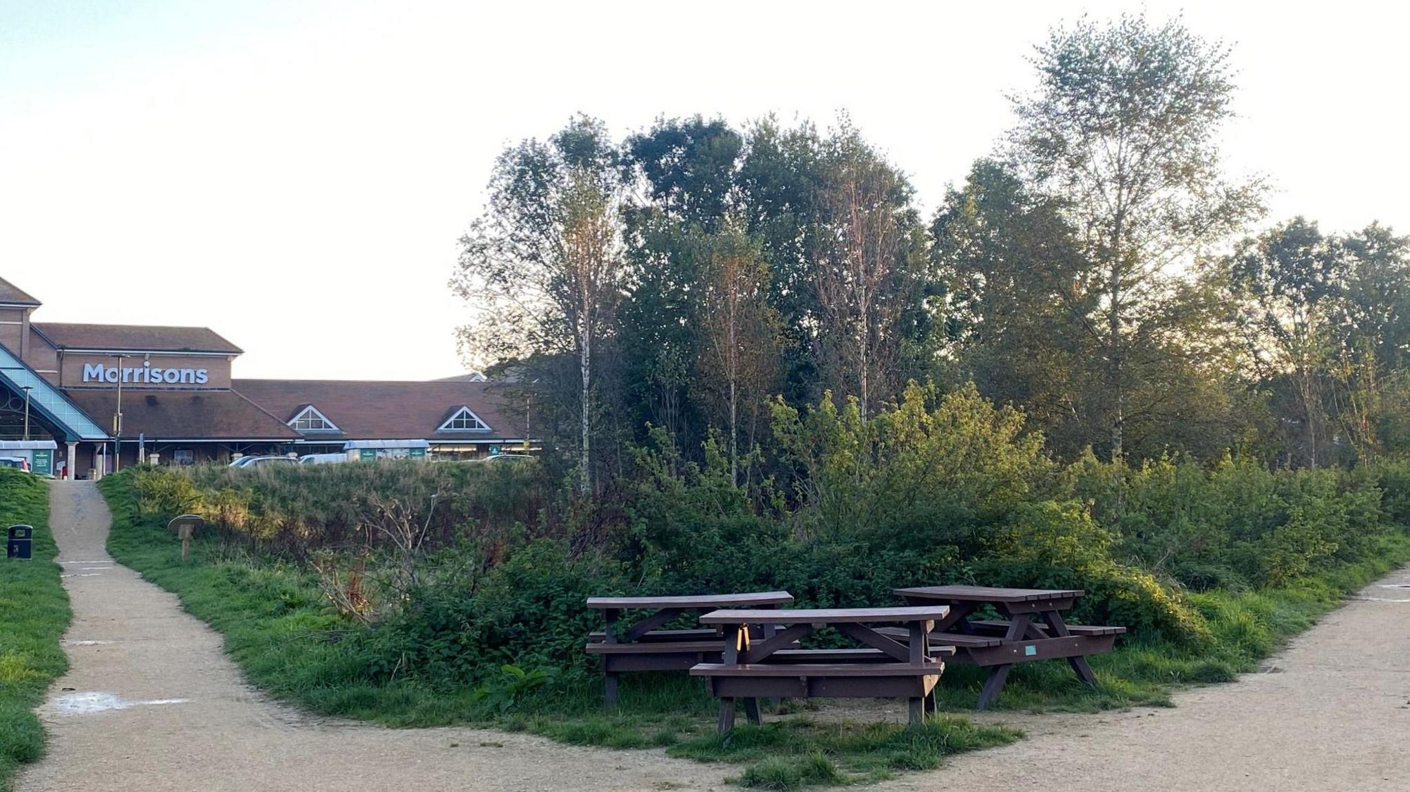 The same field but its covered in trees and shubbery, with some wooden picnic tables in the foreground.