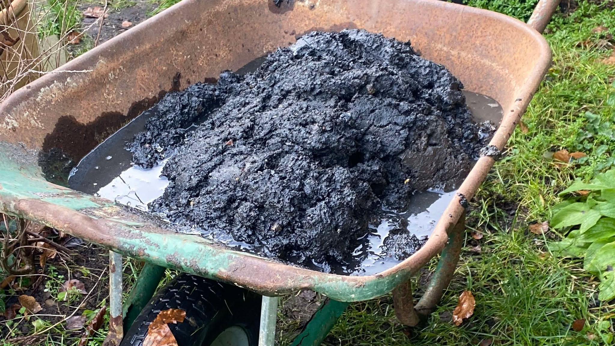 A large wheelbarrow containing black sludge and silt. There is grass on the ground.