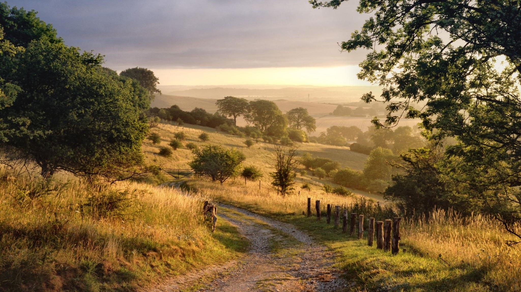 A rough track winds downhill in a rural scene. Trees and fields can be seen. There is dark cloud but the sun in shining through.