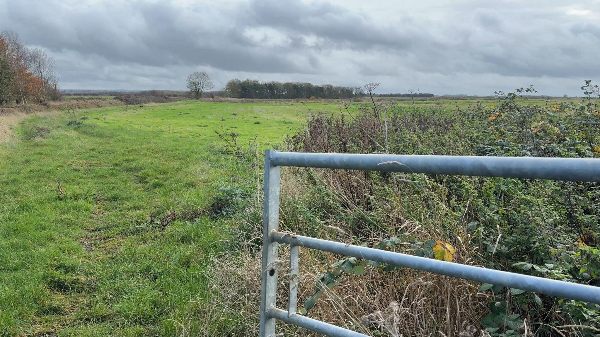 The picture shows a green, flat field. To the right is a metal fence. Behind it is a collection of shrubbery.
