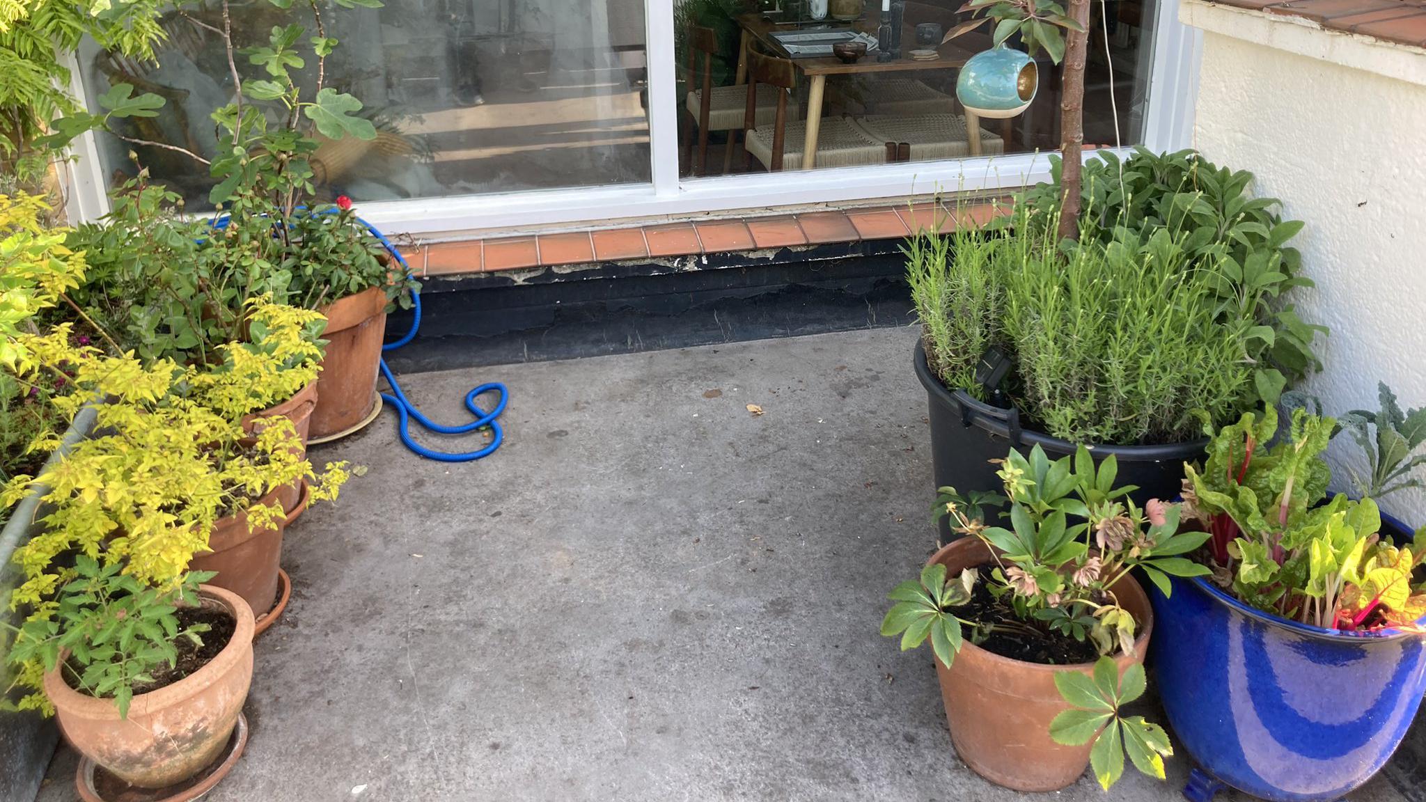 A number of plant pots in the porch