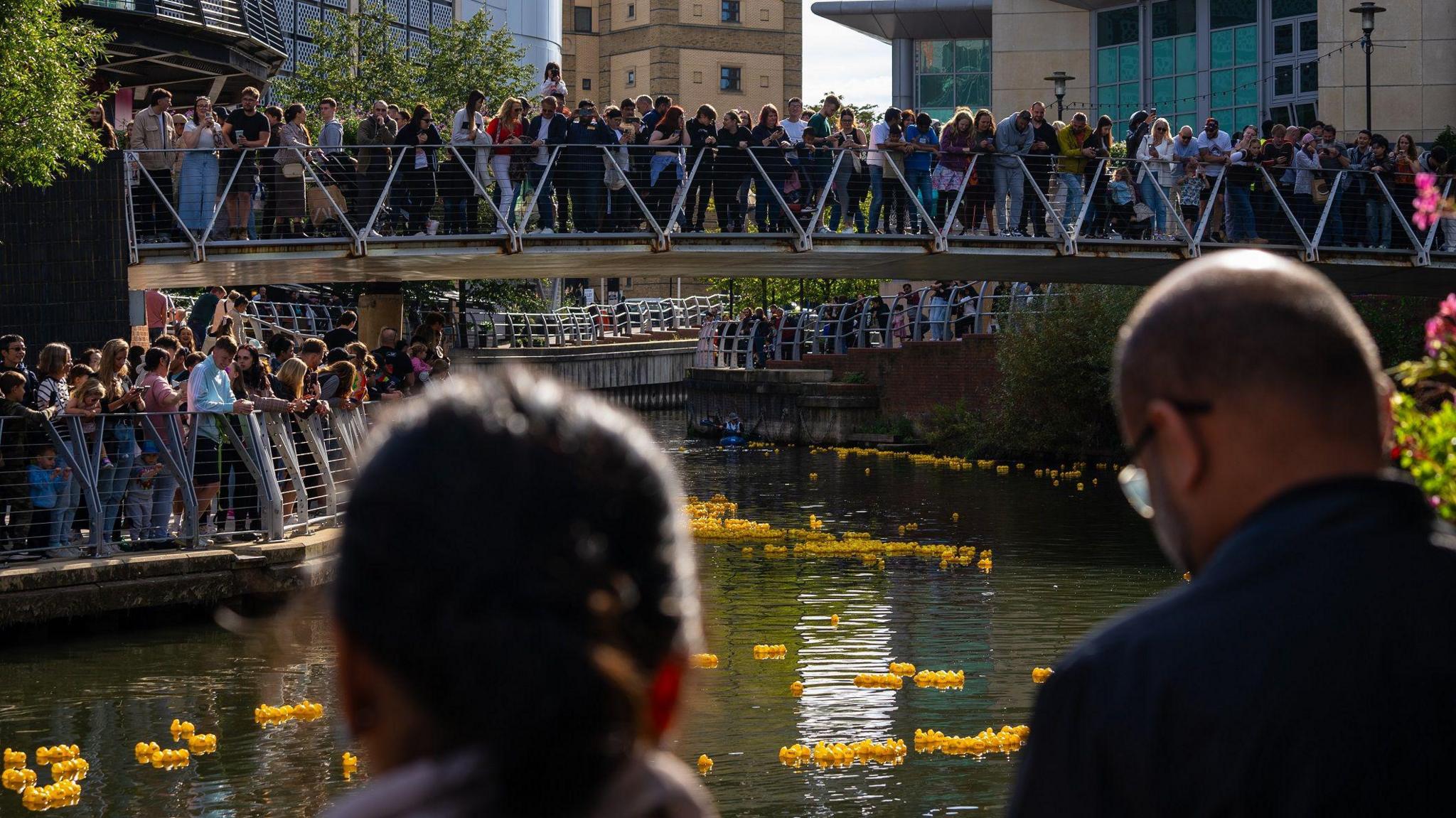 Crowds of people lining a bridge and the edges of a canal in a built up urban area. There are hundreds of little rubber ducks in the water.