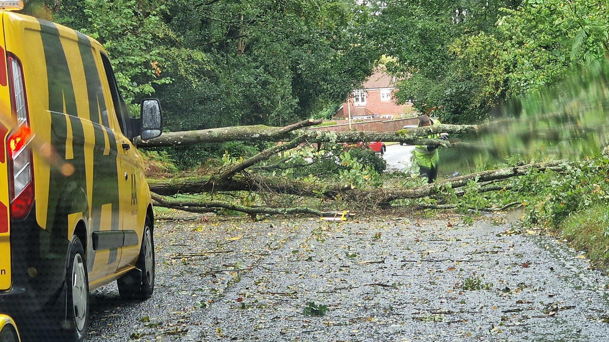 A tree is obstructing a road, which has been flooded further down. A recovery van is on the scene. A man in a fluorescent yellow jacket is trying to move the tree.